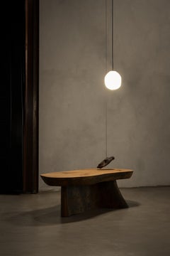 Organic Form Wood Coffee Table and Stone Suspension Lamp by Jérôme Pereira