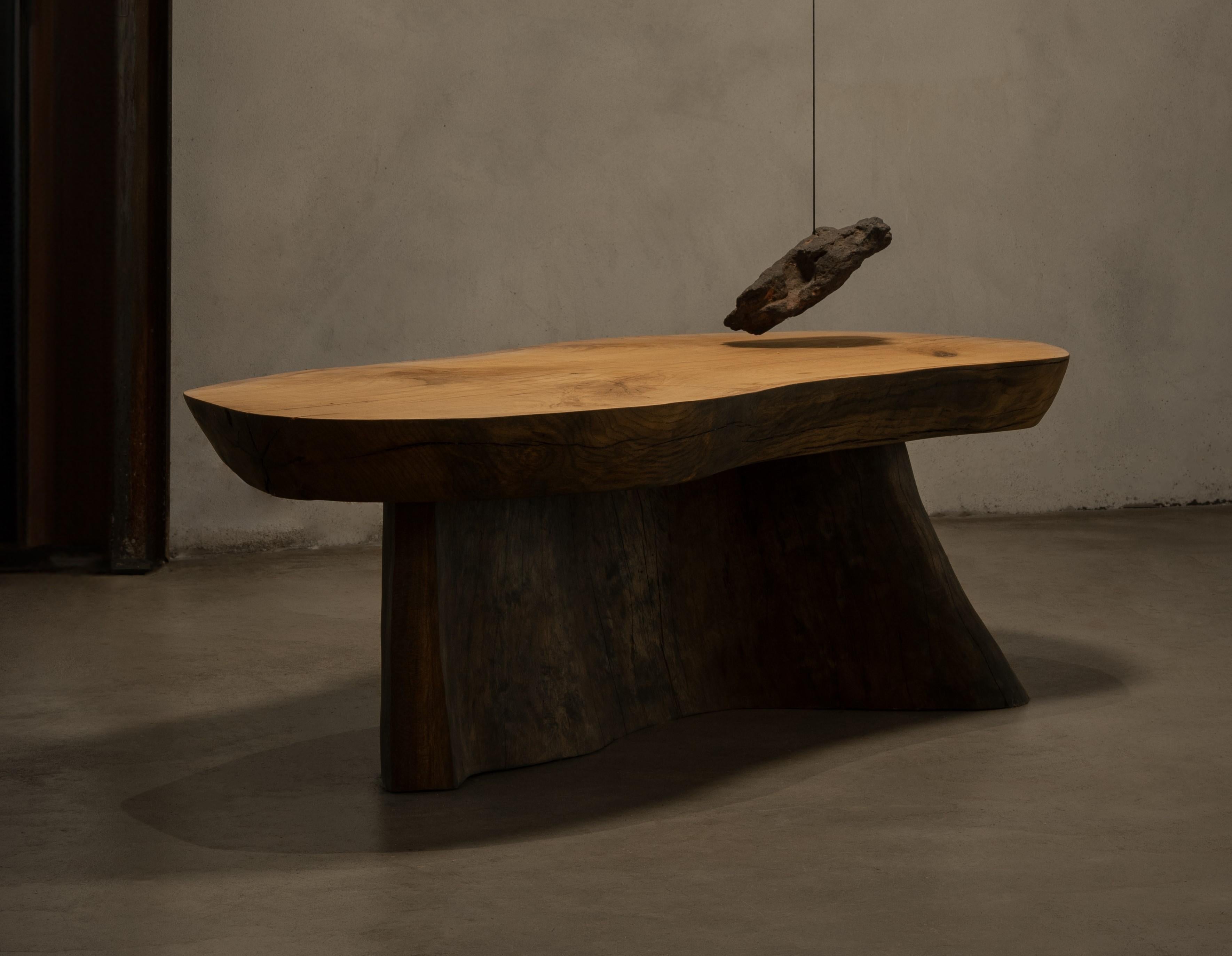 French Organic Form Wood Coffee Table and Stone Suspension Lamp by Jérôme Pereira For Sale