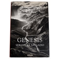 Genesis Illustrated, by Sebastiao Salgado