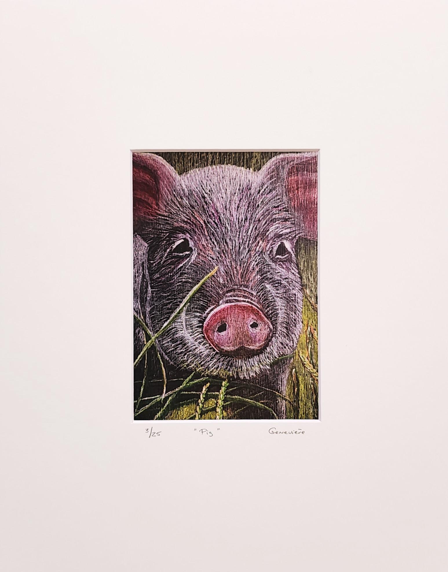 Pig (Pet Commissions Welcome!) - Print by Genevieve Hamel