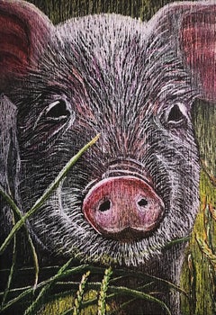 Schwein (Haustier-Kommissionen willkommen!)