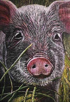 Cerdo (¡Se aceptan comisiones por mascotas!)
