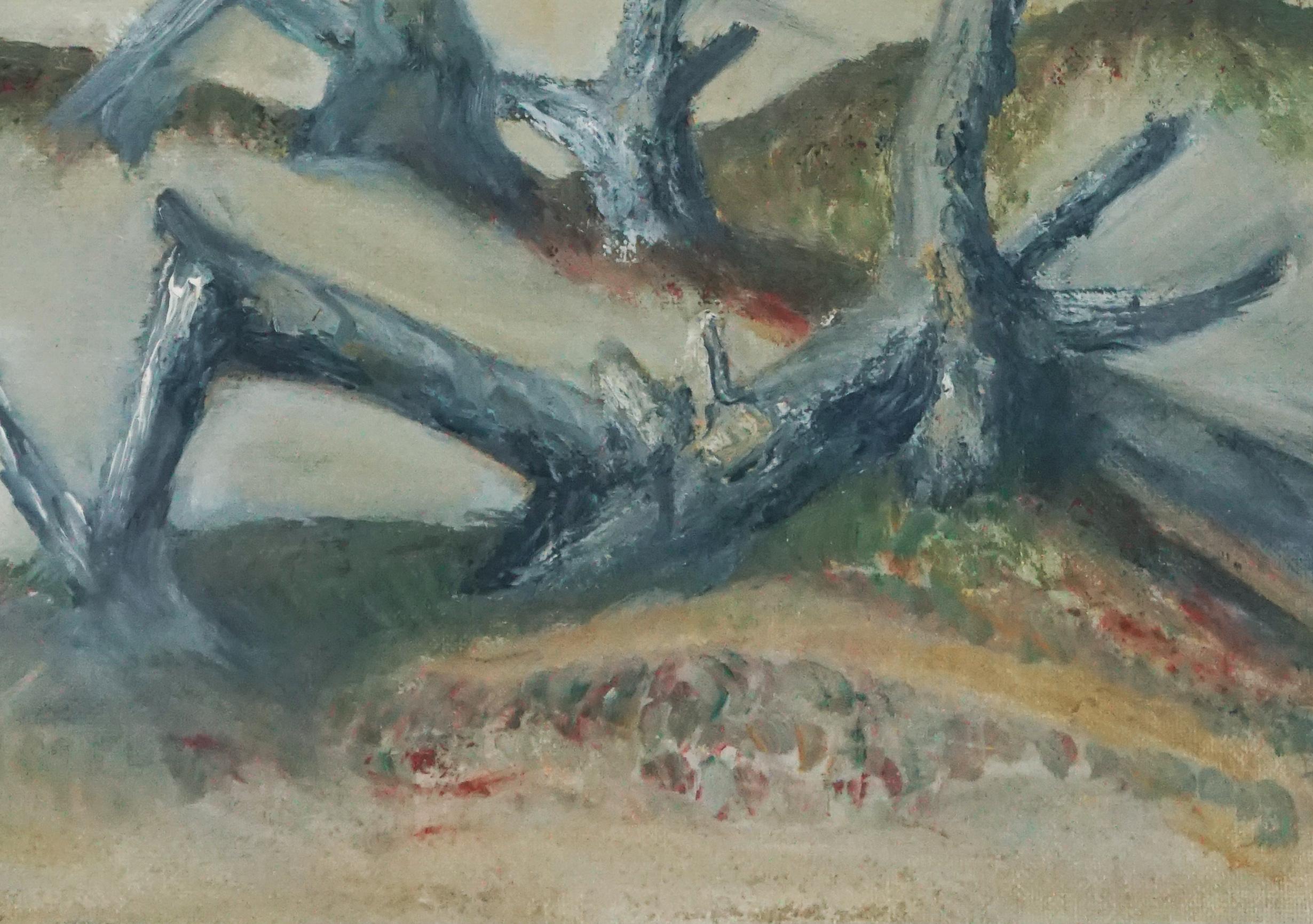 landscape driftwood for sale