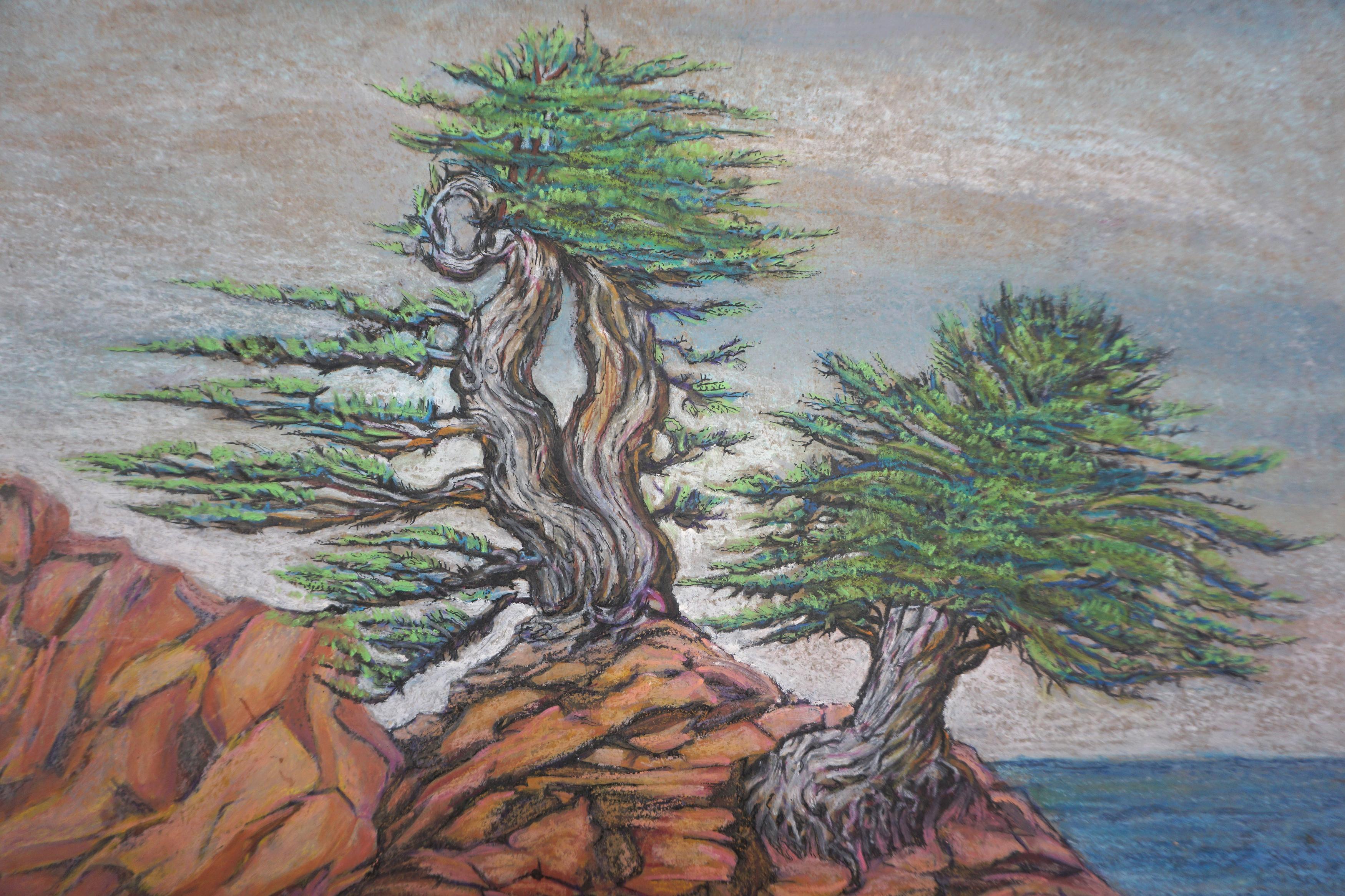 Mid Century Carmel-by-the Sea Cypress on the Bluff Coastal Plein Air Landscape – Painting von Genevieve Rogers