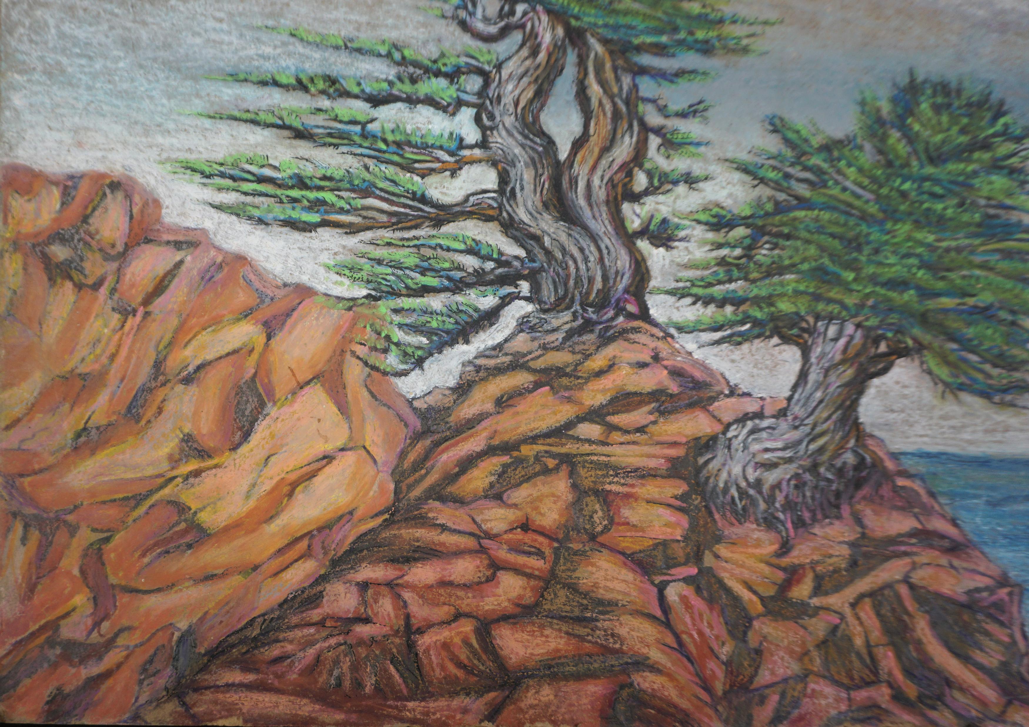 Mid Century Carmel-by-the Sea Cypress on the Bluff Coastal Plein Air Landscape (Amerikanischer Impressionismus), Painting, von Genevieve Rogers