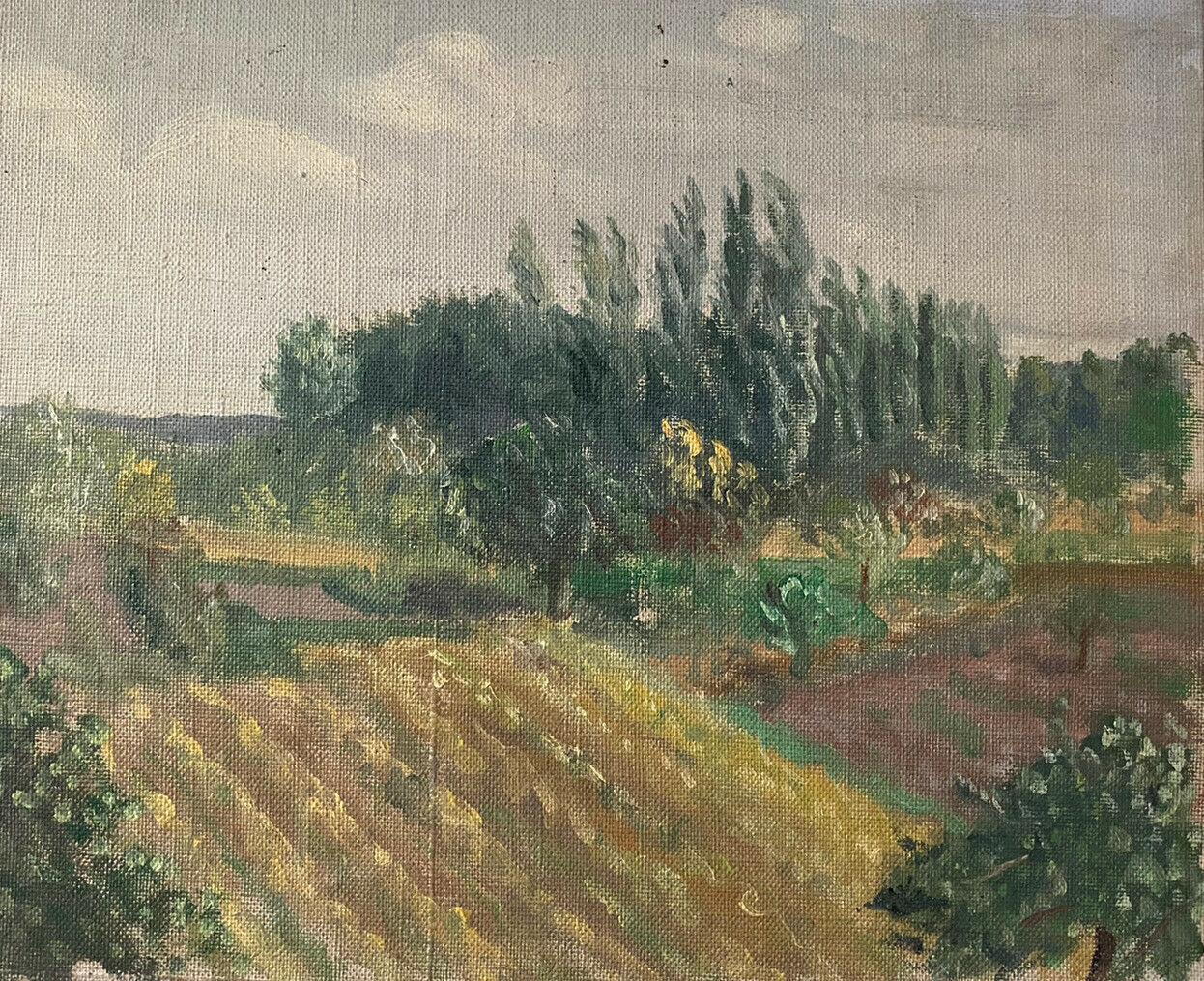 GENEVIEVE ZONDERVAN (1922-2013) FRENCH OIL PAINTING - WINDSWEPT RURAL VIEW