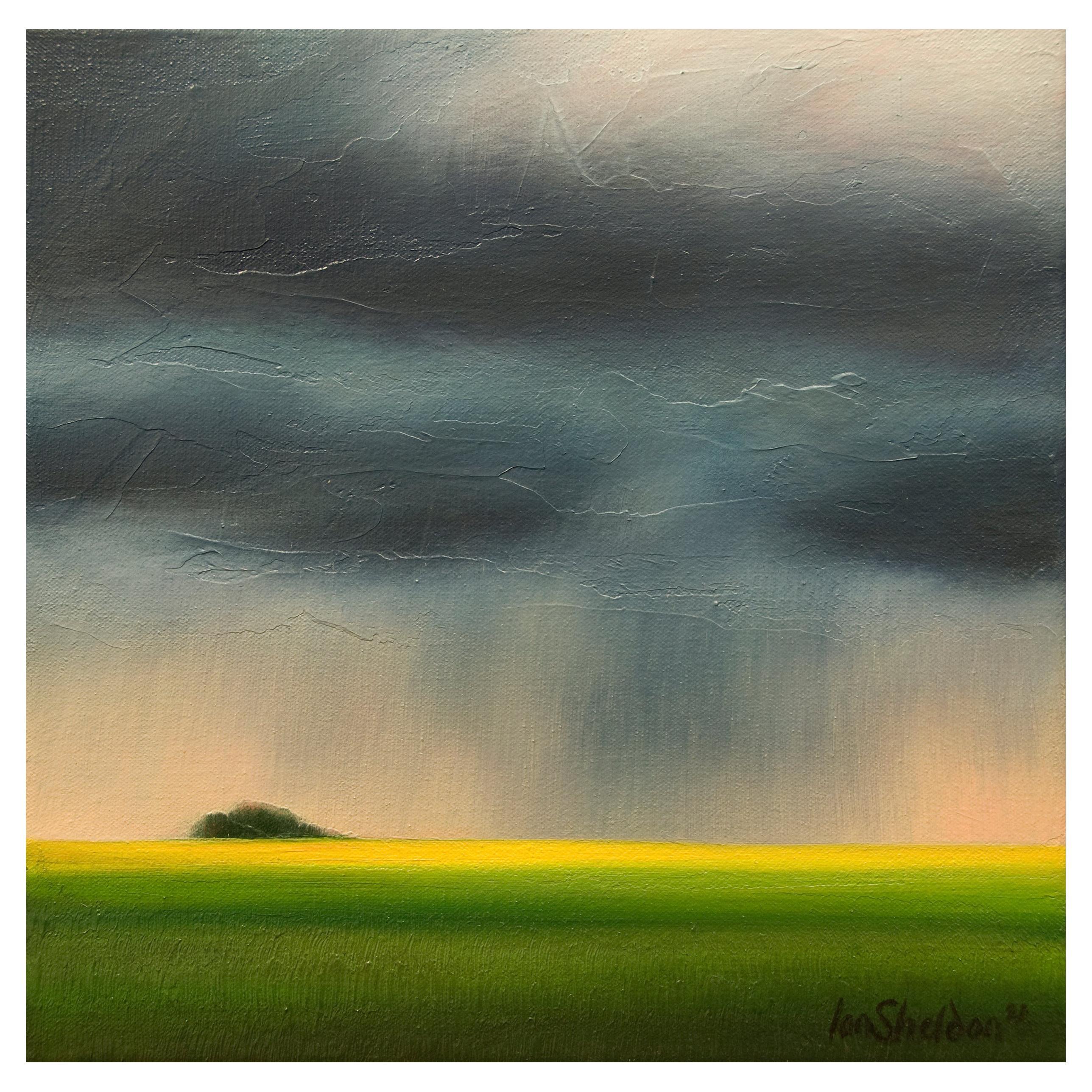 Gentle Rain" Green, Blue, Yellow Oil on Canvas Storm Landscape by Ian  Sheldon For Sale at 1stDibs | gentle landscape meaning