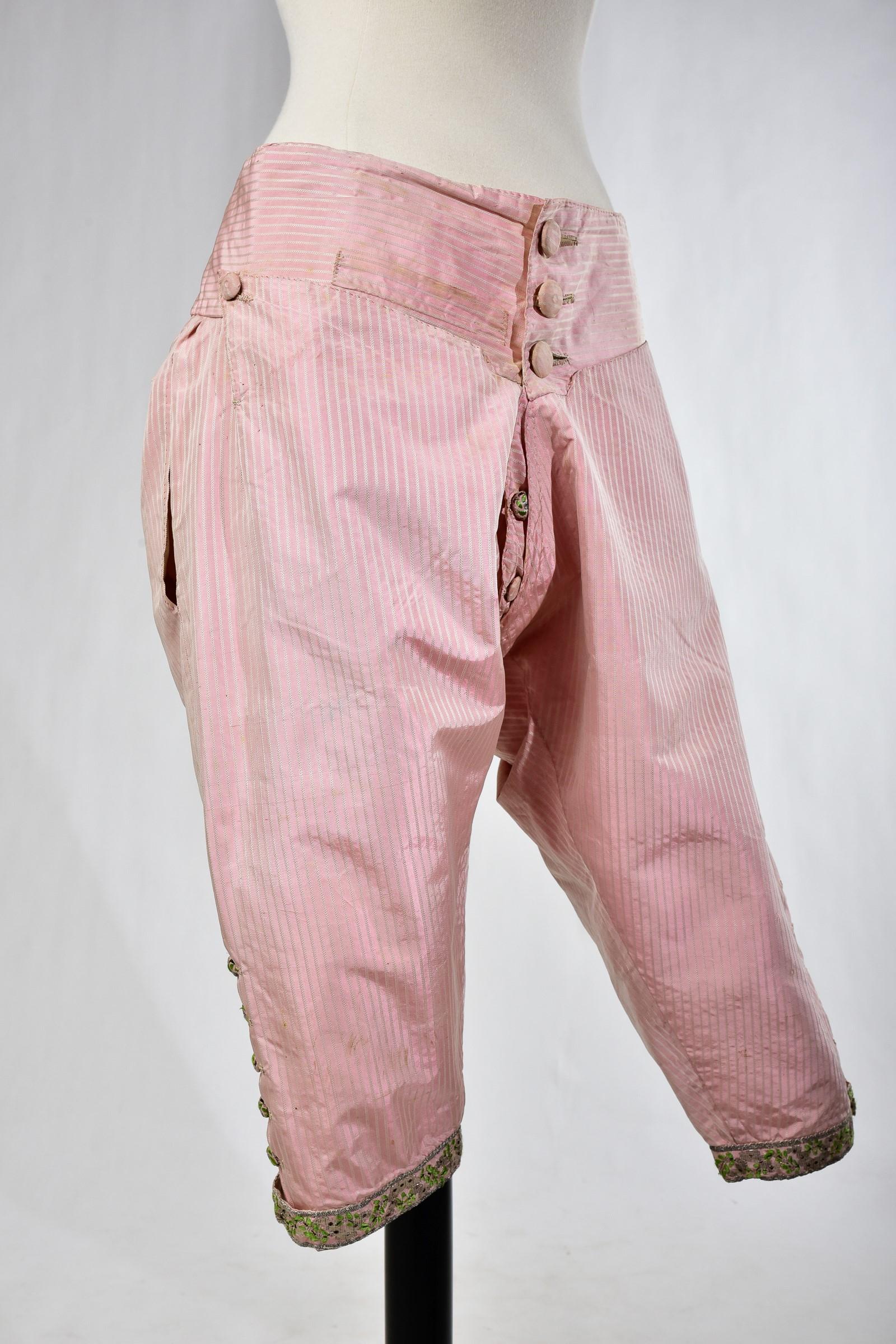 Women's or Men's Gentleman's court breeches - France Circa 1780