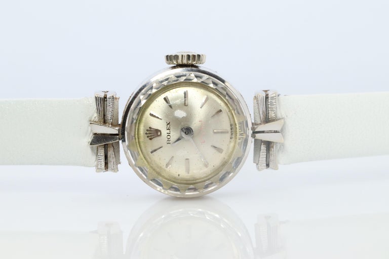 Rolex Orchid - 4 For Sale on 1stDibs | rolex orchid vintage  display picture 2