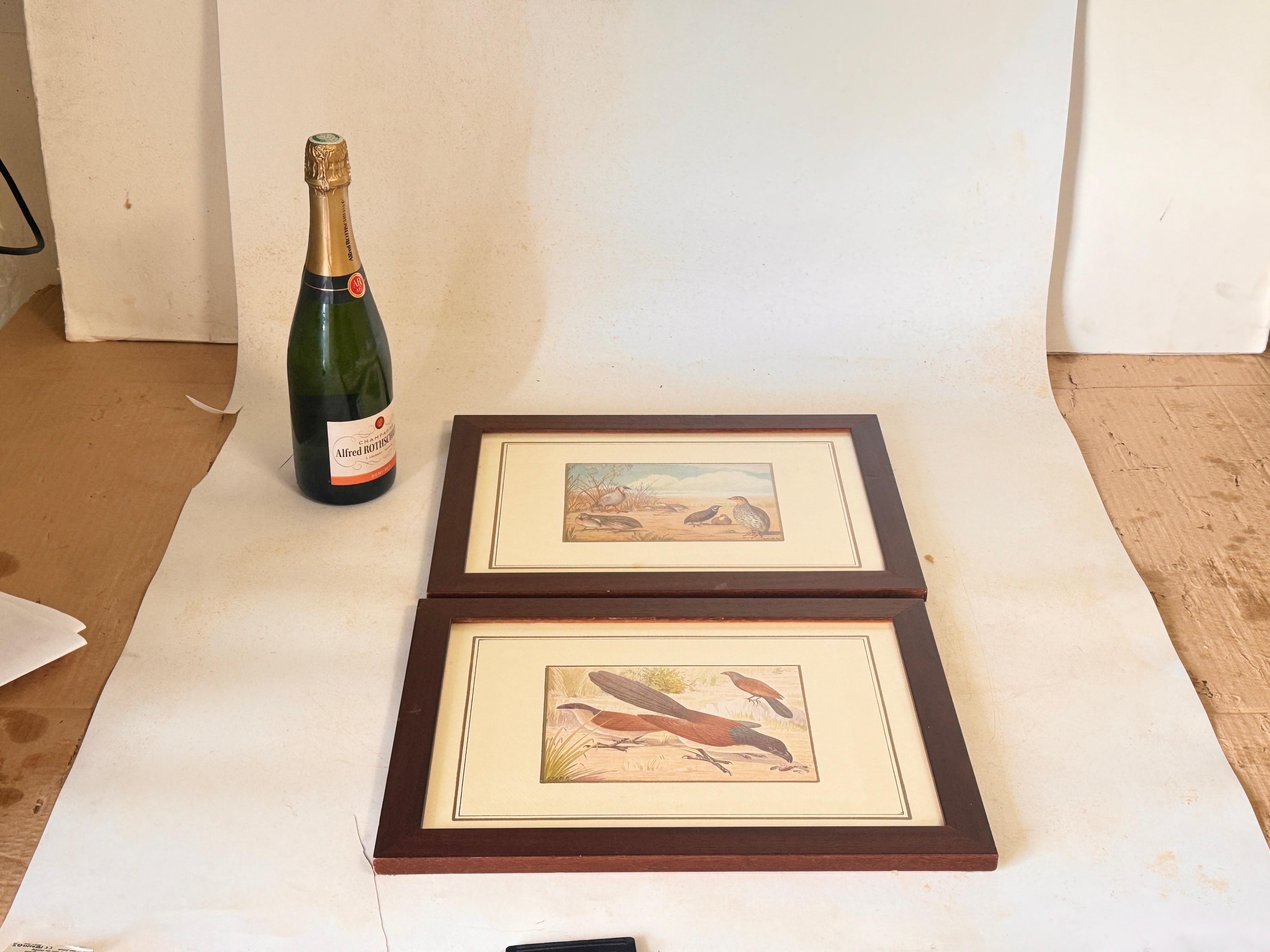Genuine 20th Century Pair of Water Color by G Galelli Italy Signed Dated  1938  For Sale 5