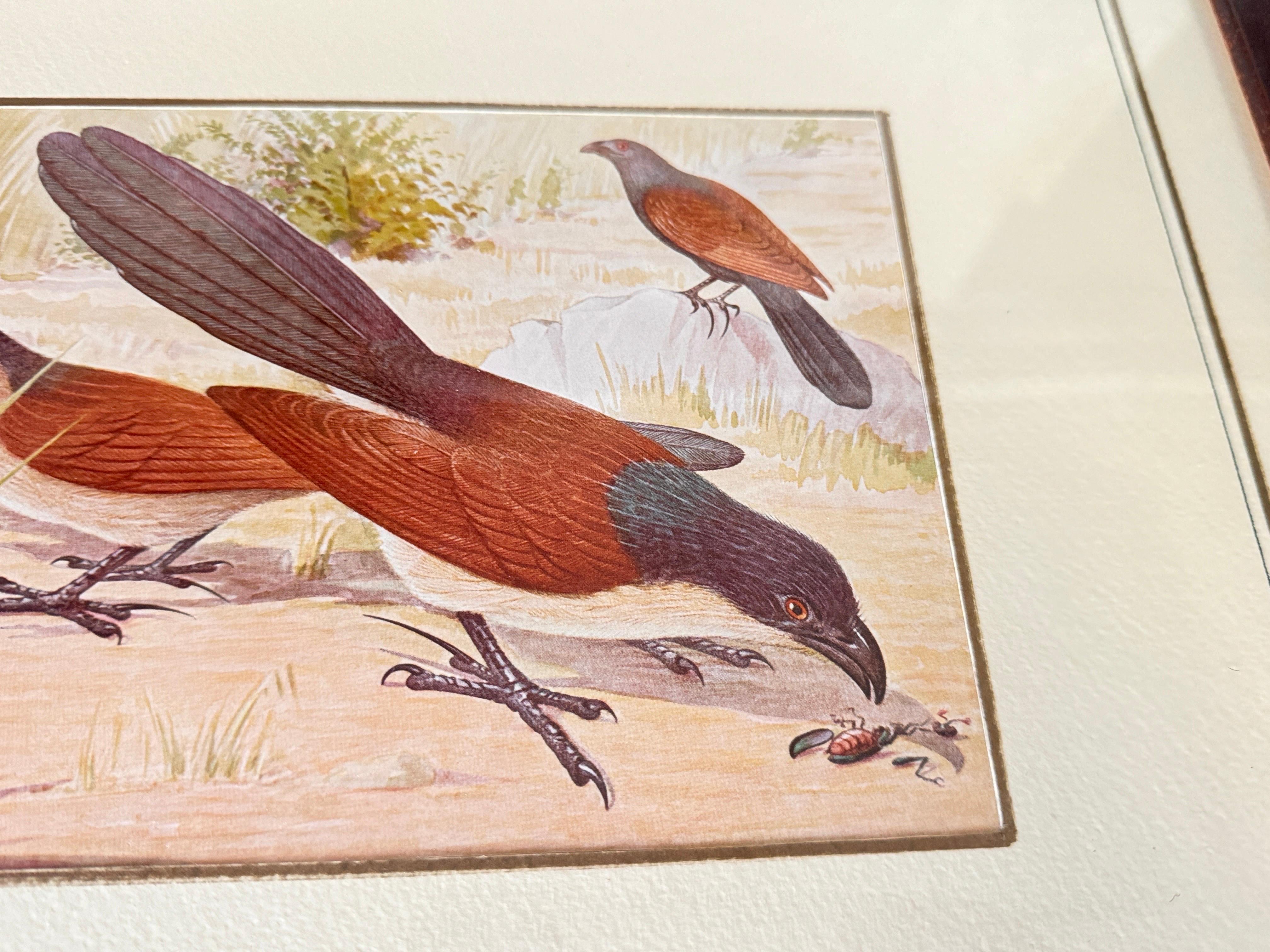 Italian Genuine 20th Century Pair of Water Color by G Galelli Italy Signed Dated  1938  For Sale