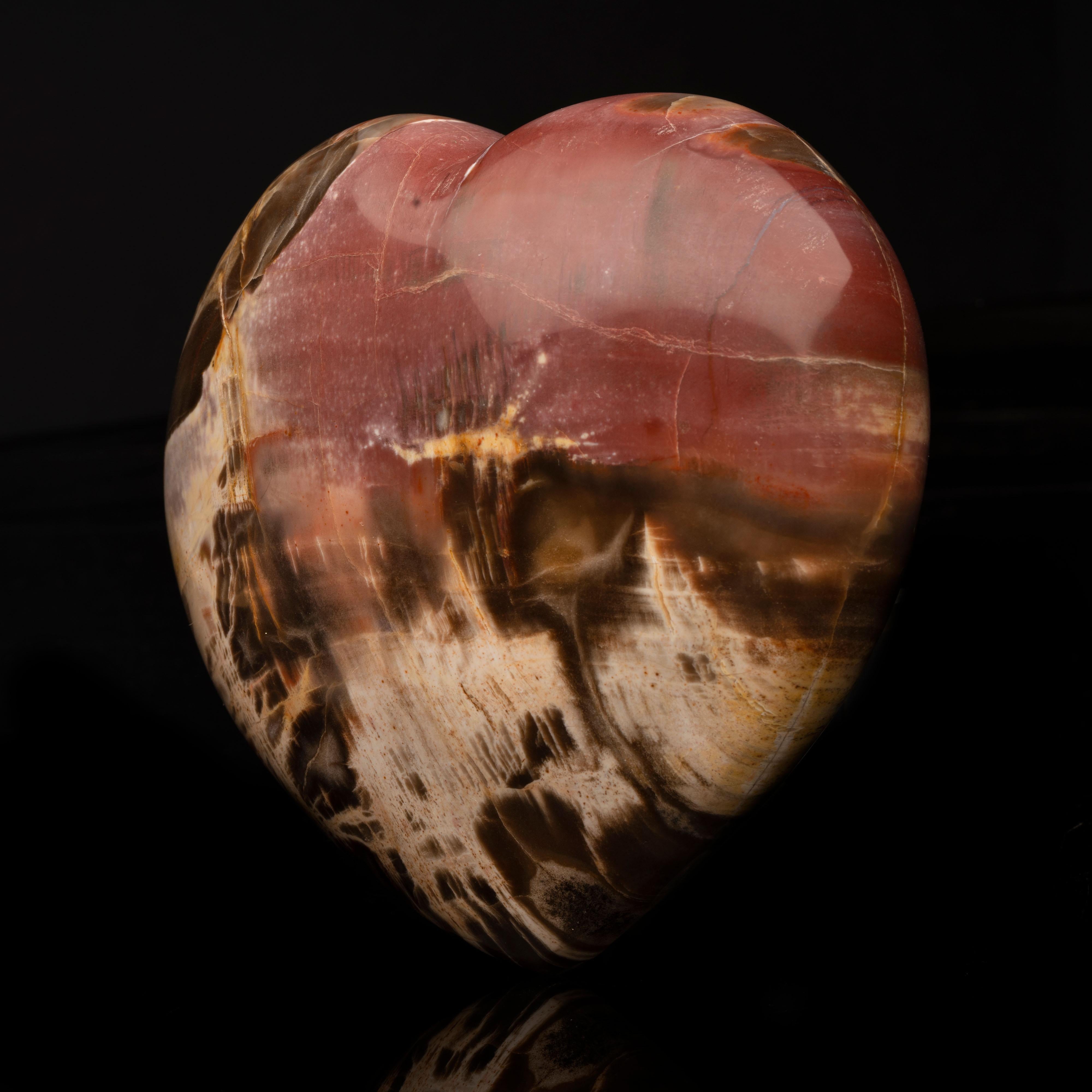Approximately 220 million years old, this nearly three-pound heart has been hand-carved and hand-polished out of genuine fossilized wood and displays sumptuous red, black, brown, and tan tones. Petrified wood from the forests of Madagascar is famous