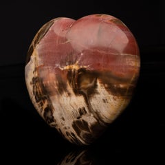 Autentico cuore di legno pietrificato del Madagascar risalente a 220 milioni di anni fa // 2,93 Lb
