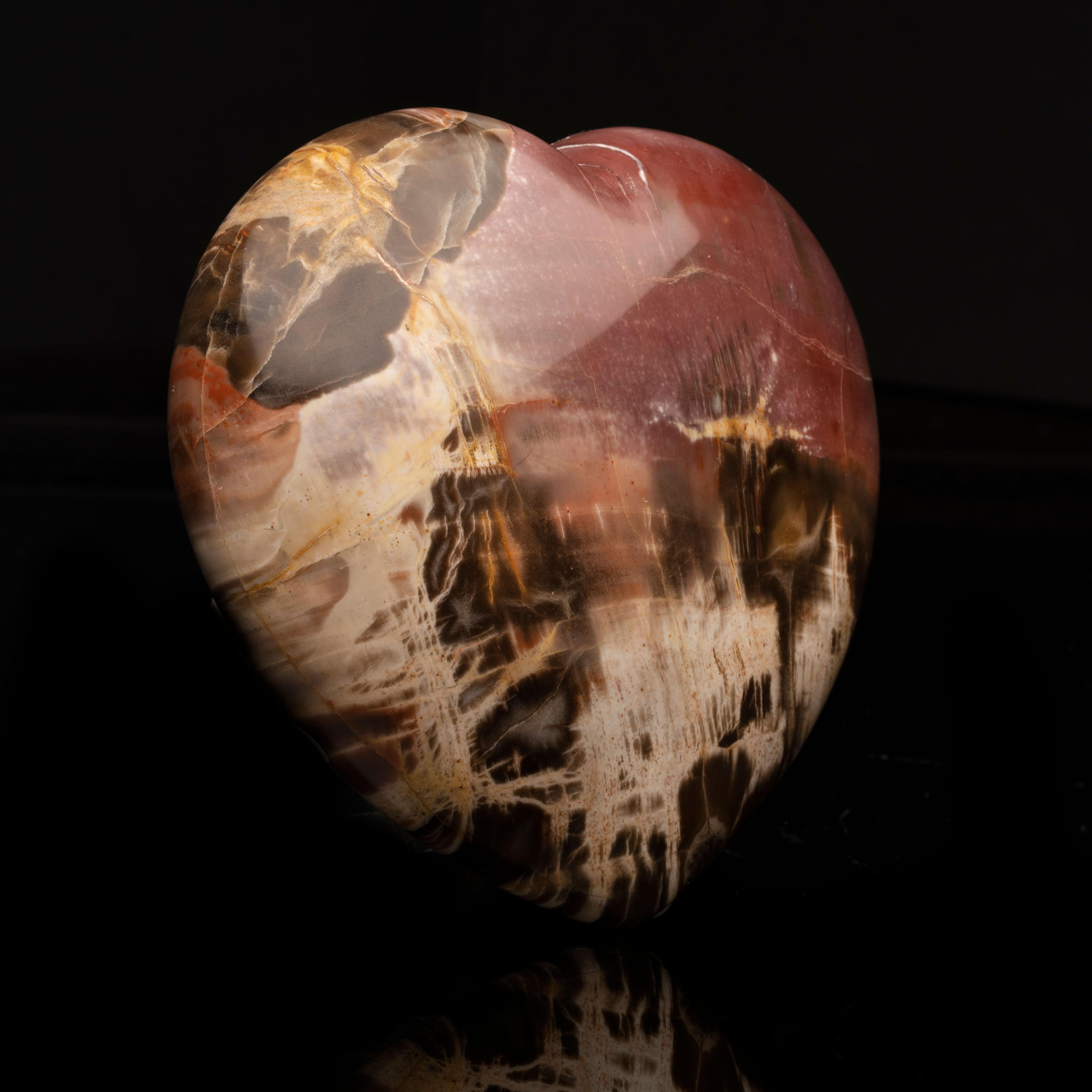 Moroccan Genuine 220 Million Year Old Petrified Wood Heart from Madagascar // 2.93 Lb