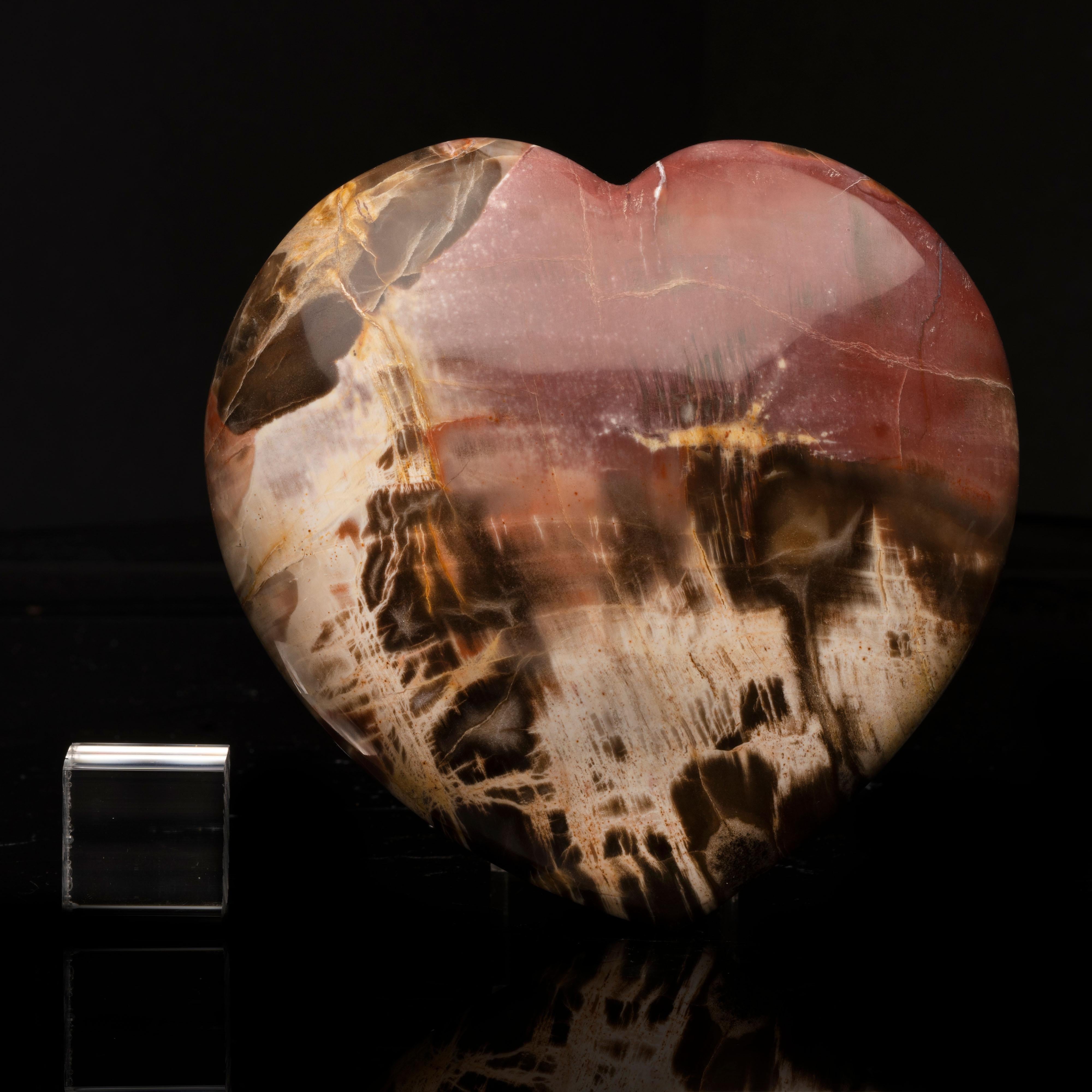 Hand-Carved Genuine 220 Million Year Old Petrified Wood Heart from Madagascar // 2.93 Lb