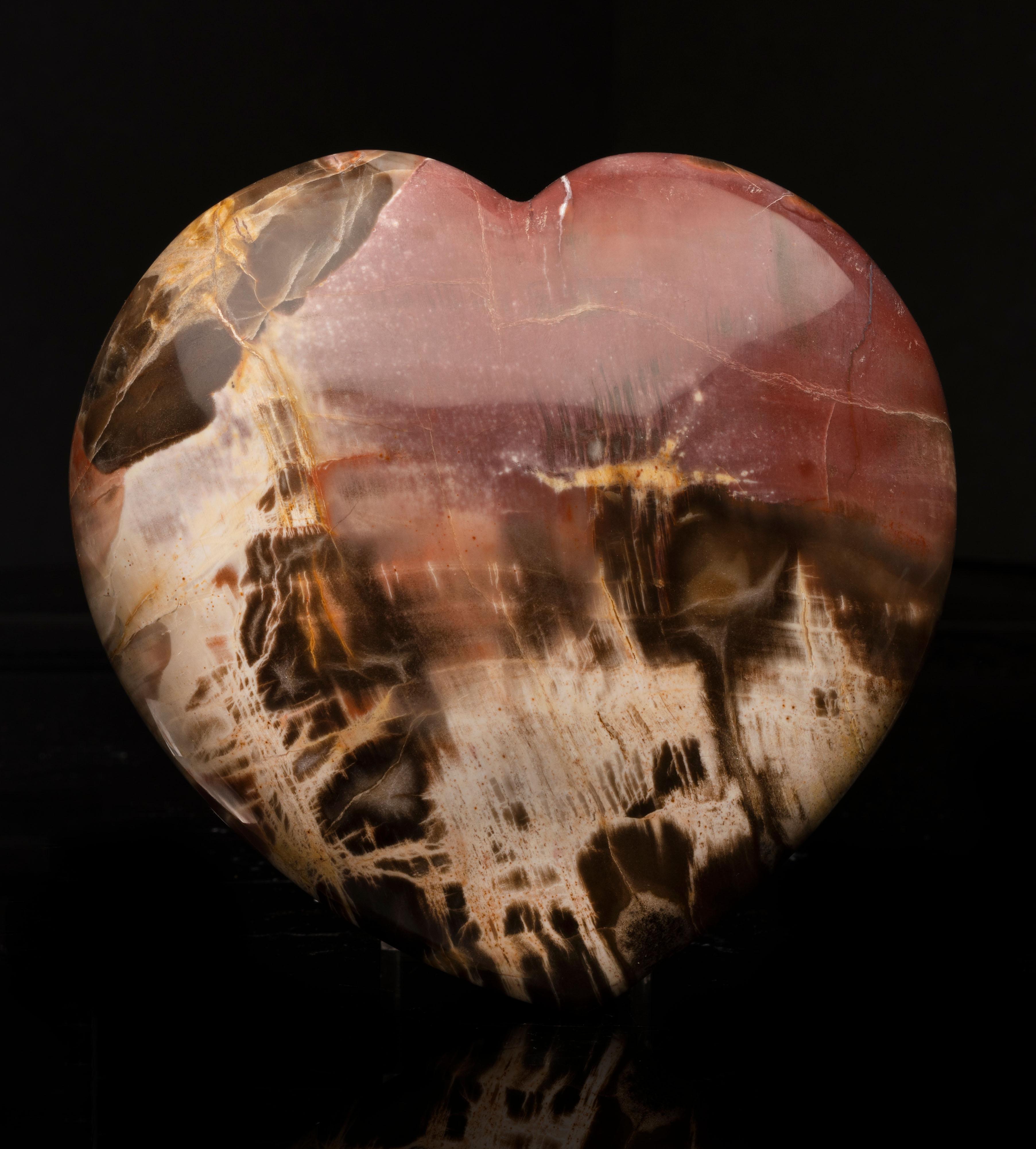Genuine 220 Million Year Old Petrified Wood Heart from Madagascar // 2.93 Lb In Excellent Condition In New York, NY