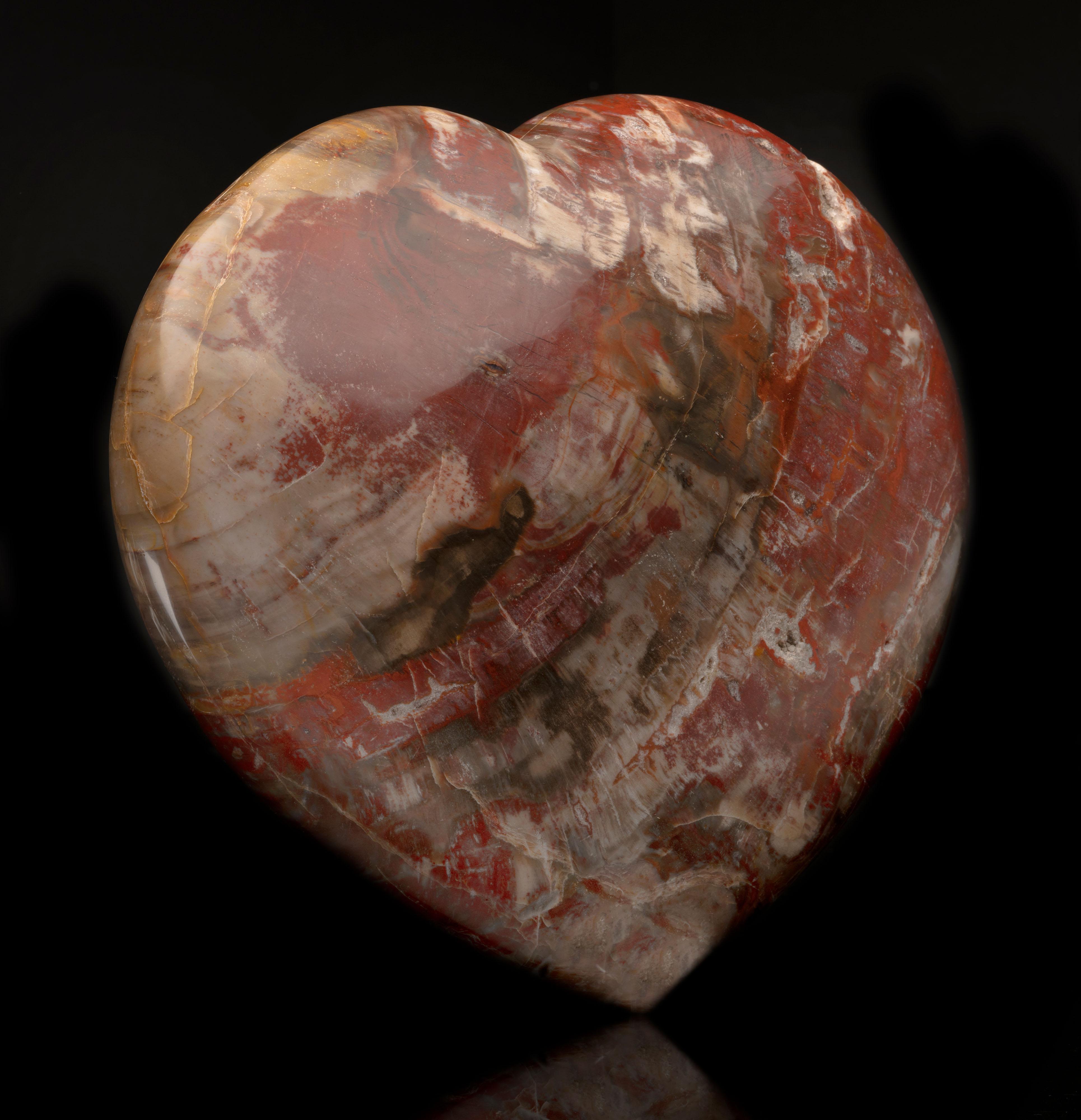 Approximately 220 million years old, this large 9-pound heart has been hand-carved and hand-polished out of genuine fossilized wood and displays sumptuous red, tan, and brown tones. Petrified wood from the forests of Madagascar is famous for its