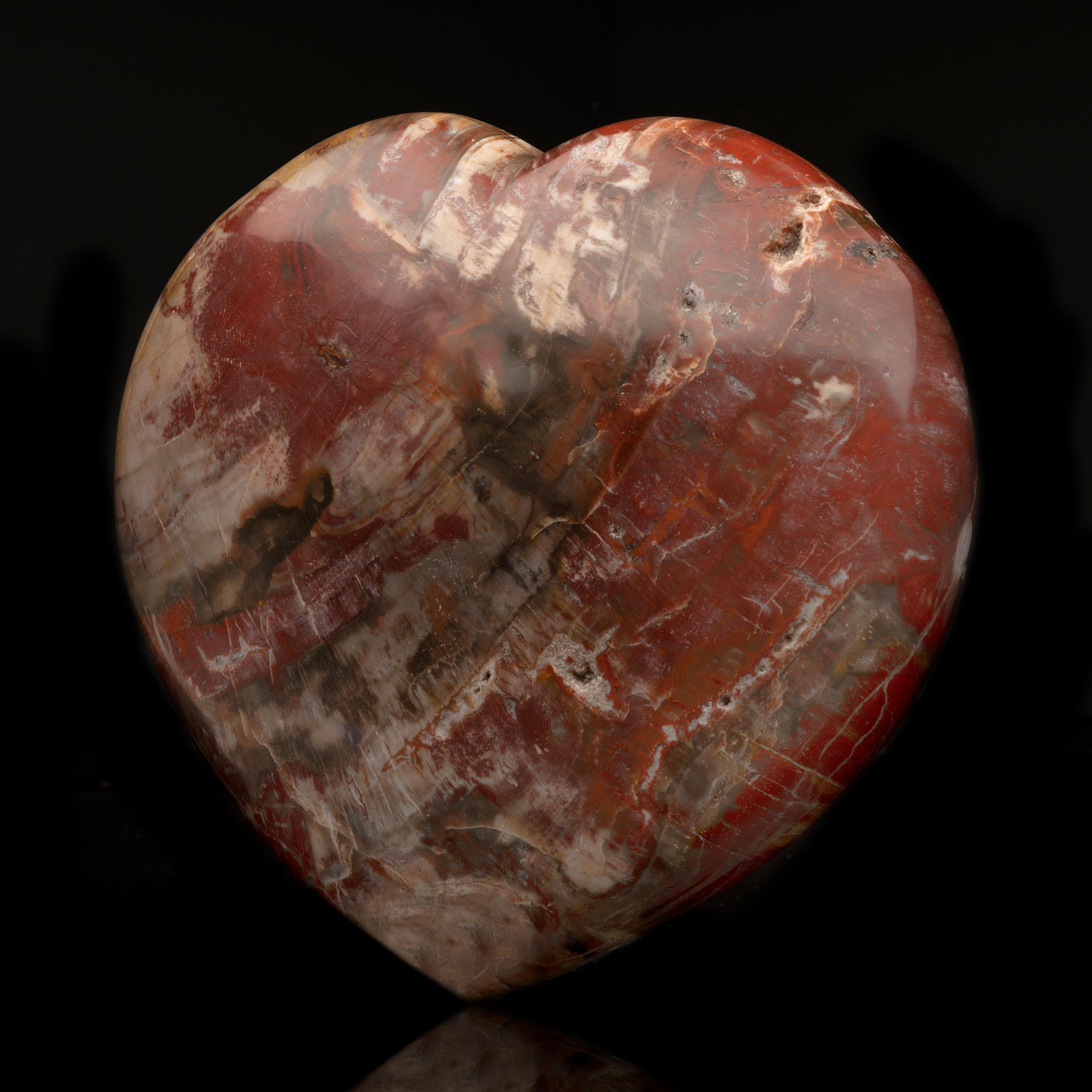 Malagasy Genuine 220 Million Year Old Petrified Wood Heart from Madagascar // 9 Lb For Sale