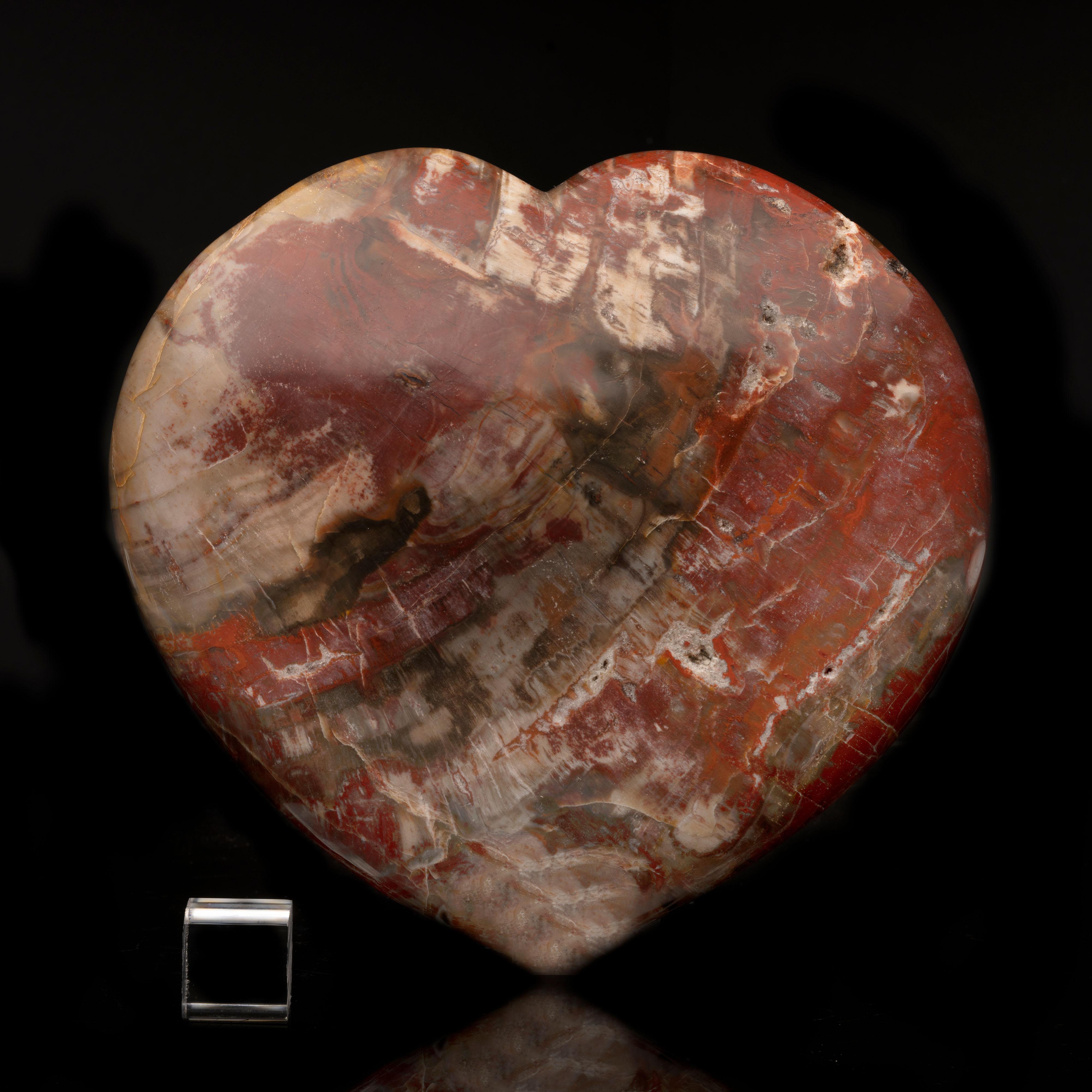 Hand-Carved Genuine 220 Million Year Old Petrified Wood Heart from Madagascar // 9 Lb For Sale