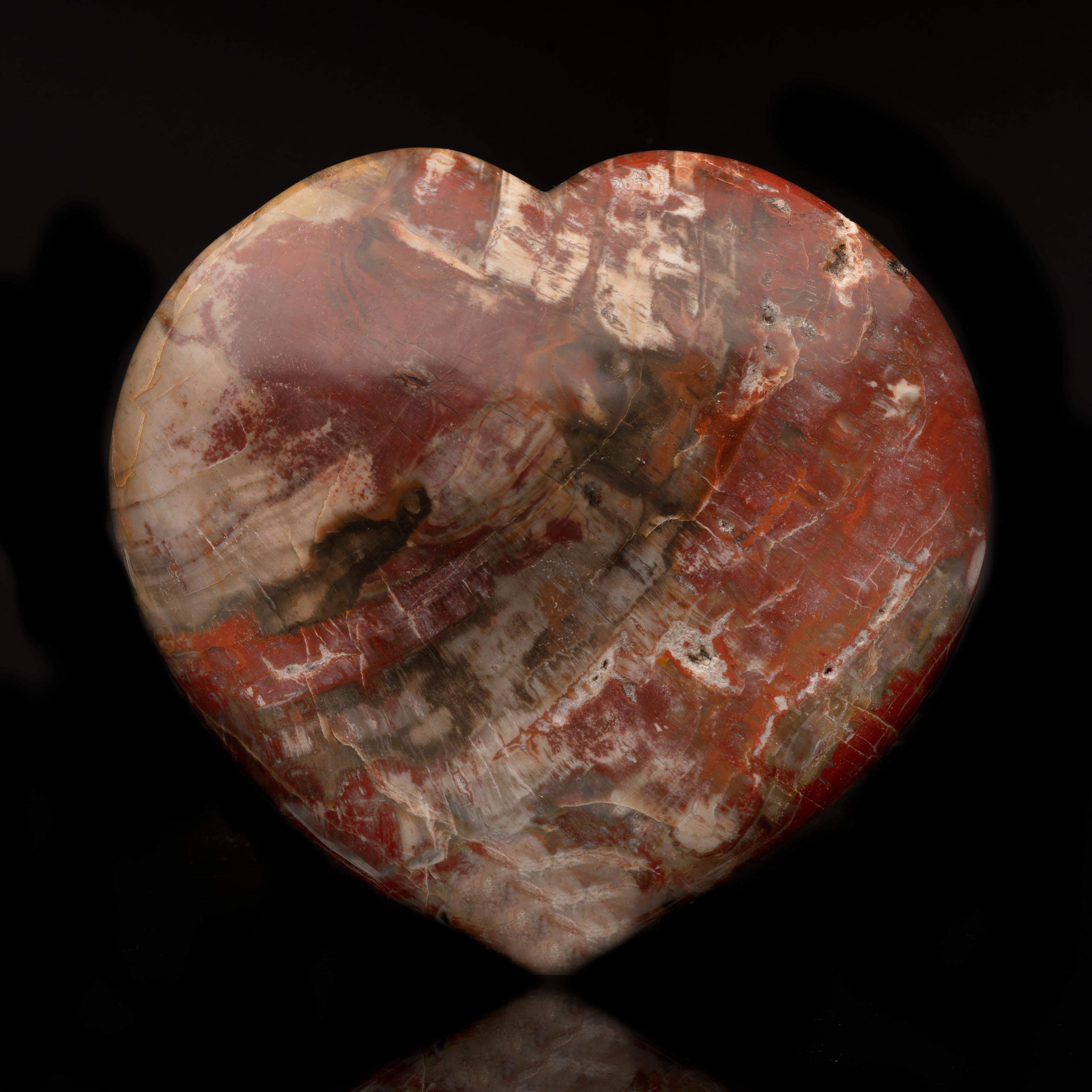 Genuine 220 Million Year Old Petrified Wood Heart from Madagascar // 9 Lb In Excellent Condition For Sale In New York, NY
