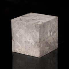 Véritable 2,23 Lb. Campo del Cielo Cube en météorite vieille de 4,6 milliards d'années