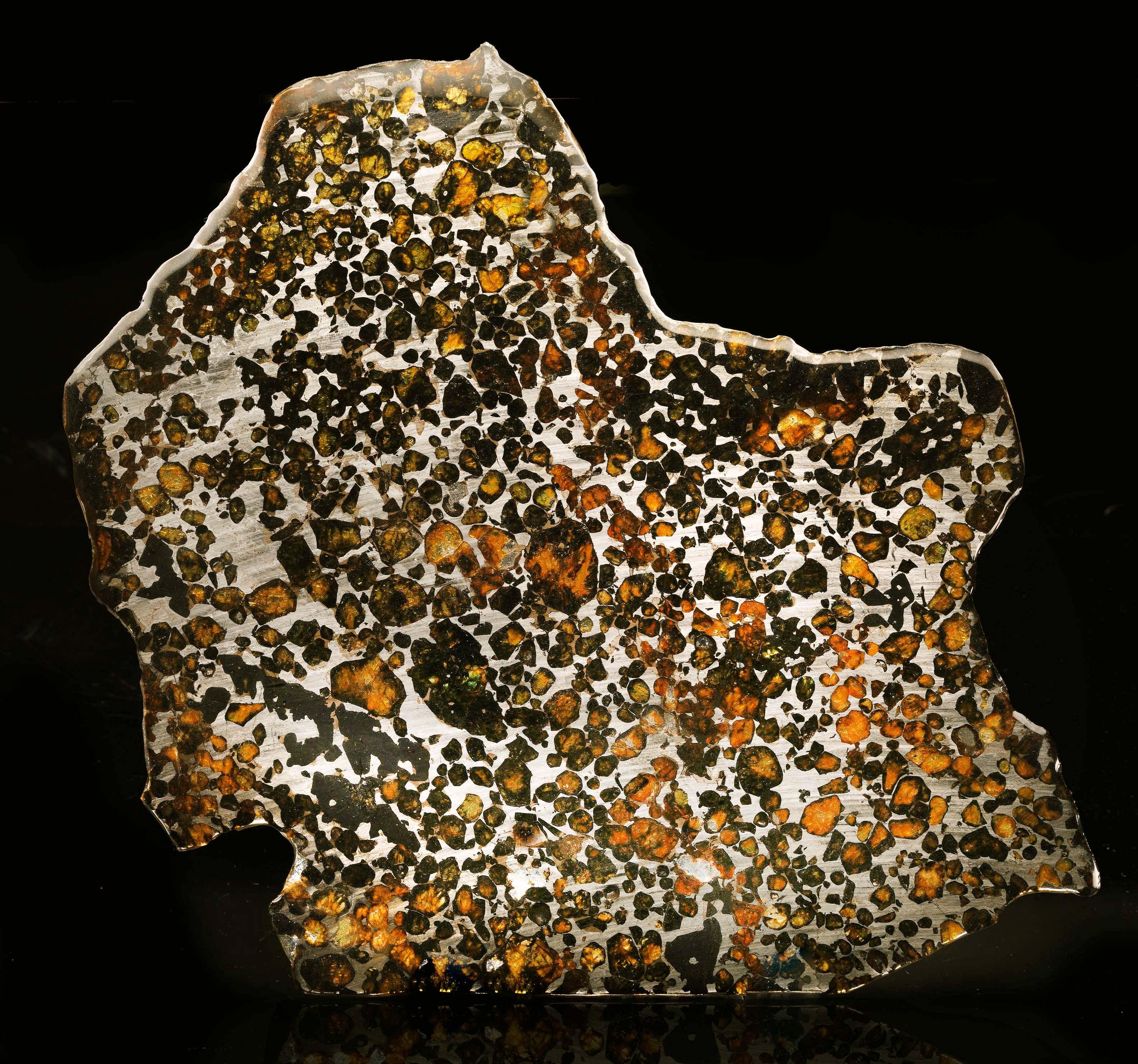 This luminous 478 gram Sericho pallasite meteorite slice dates back approximately 4.5 billion years and was discovered in Kenya. The stony-iron meteorites were first identified as such in 2016; the shower is thought to have occurred decades ago,