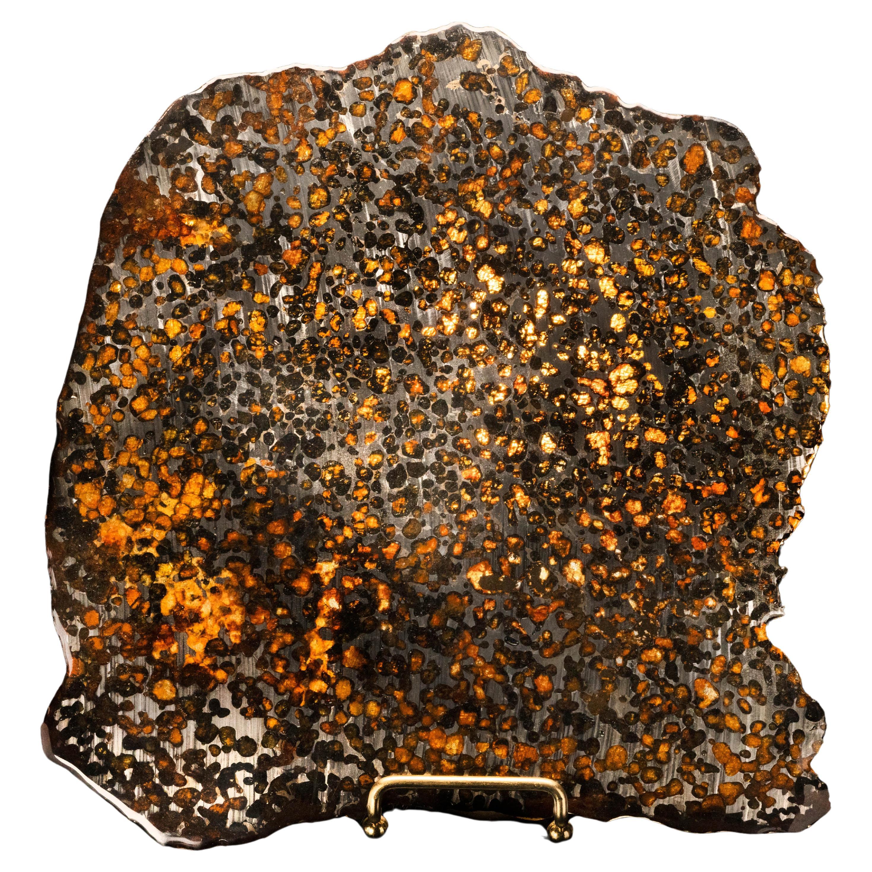 Genuine 536 Gram Sericho Meteorite Slice // 4.5 Billion Years Old