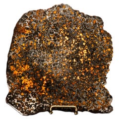Antique Genuine 536 Gram Sericho Meteorite Slice // 4.5 Billion Years Old