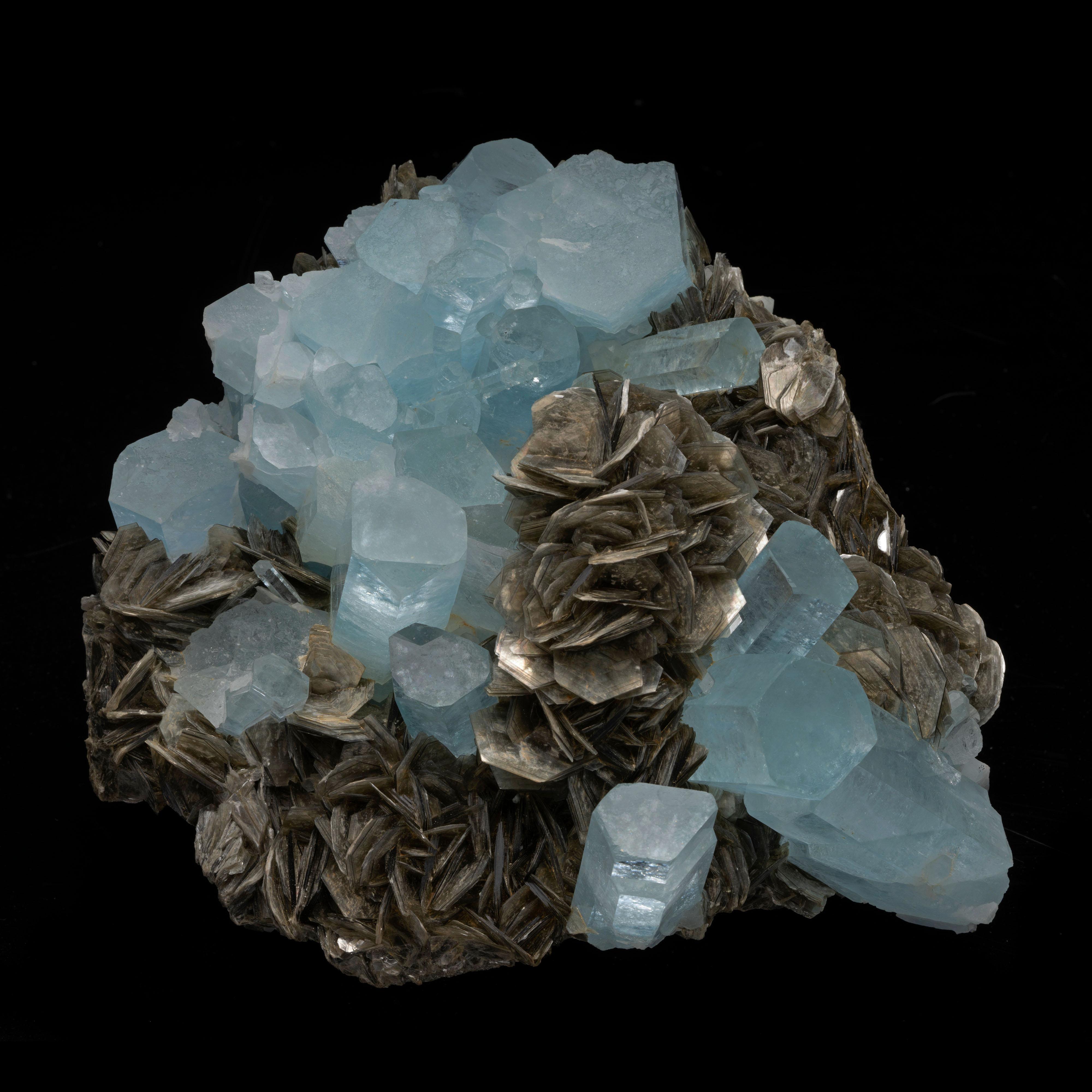 This excellent quality 6.5 lb. aquamarine cluster on a deeply hued and lustrous bed of abundant muscovite boasts a treasure trove of large perfect bevel terminations. With good color and great translucency and luster, this AAA piece from Pakistan is