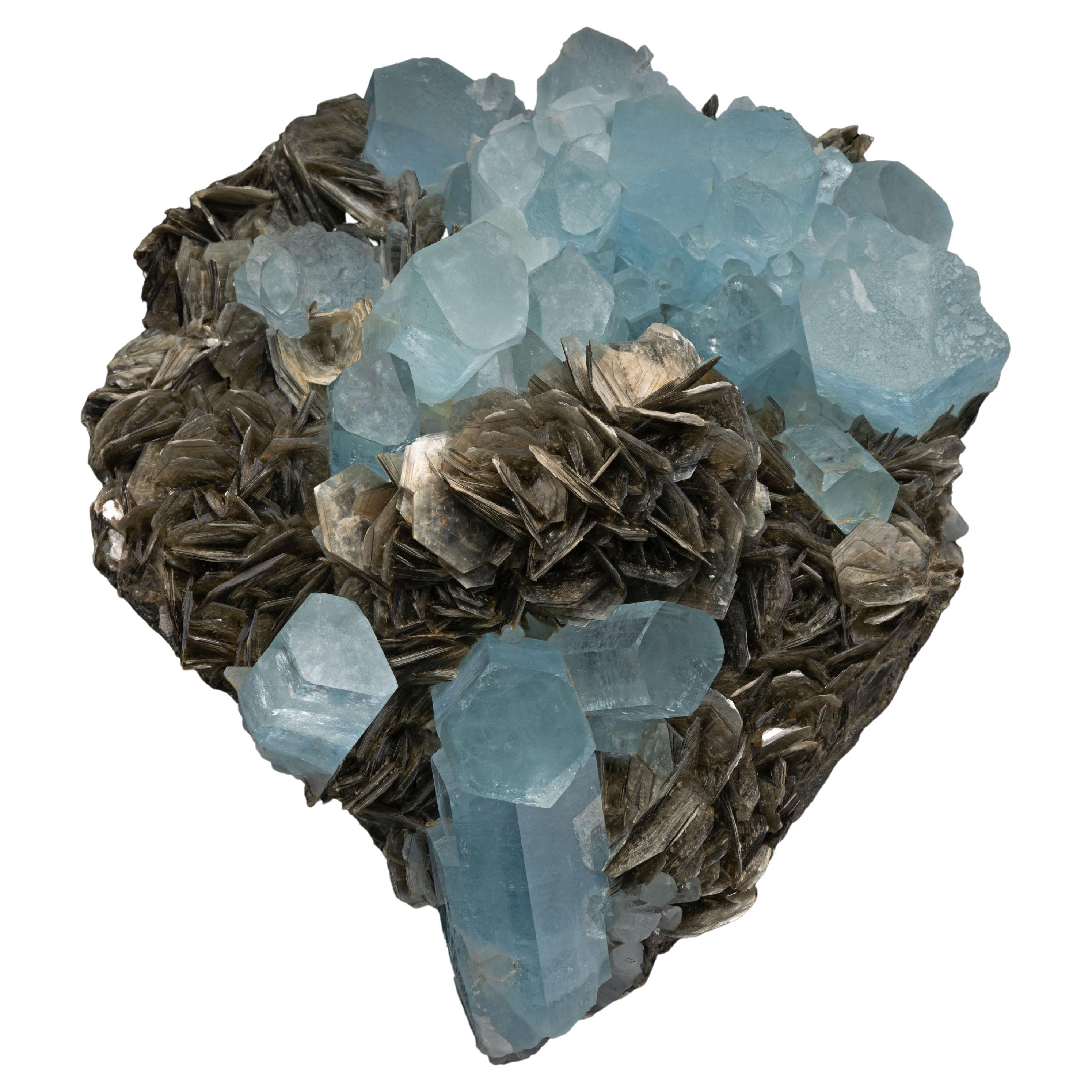 Genuine 5.5 Lb. Aquamarine Cluster on Muscovite For Sale