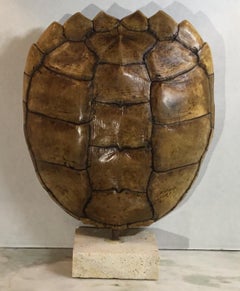 Genuine American Frash Water Snapping Turtle Shell