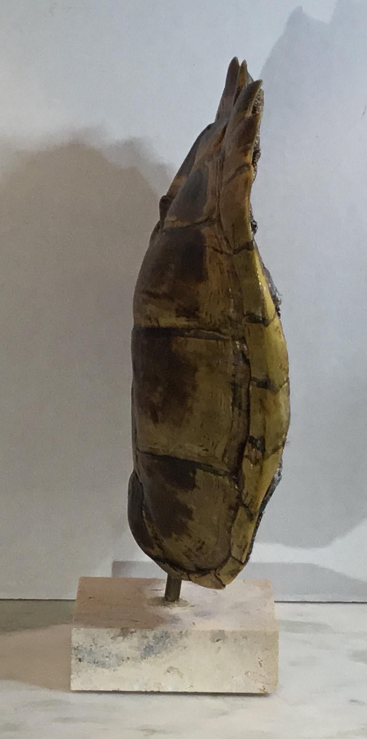 Coral Genuine American Fresh Water Snapping Turtle Shell