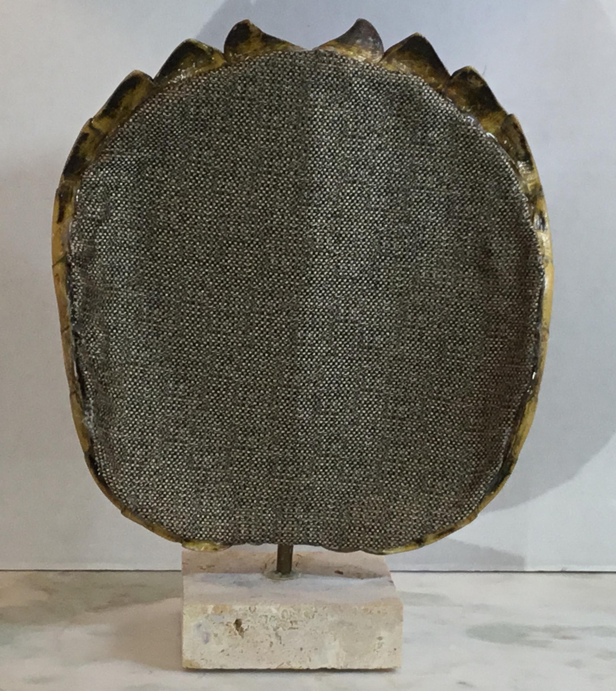 Genuine American Fresh Water Snapping Turtle Shell 1