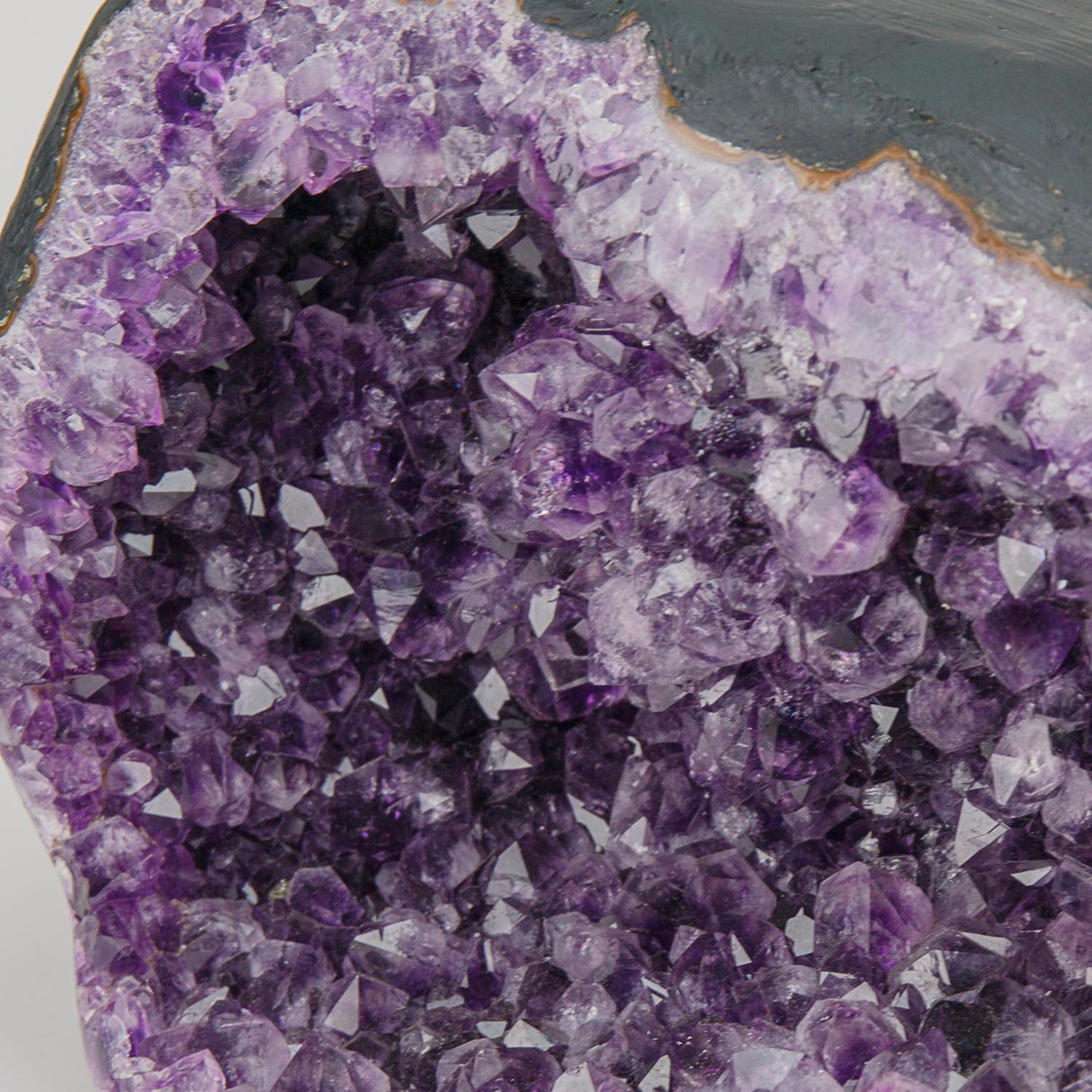 Contemporary Genuine Amethyst Cluster Geode from Brazil (26 lbs) For Sale
