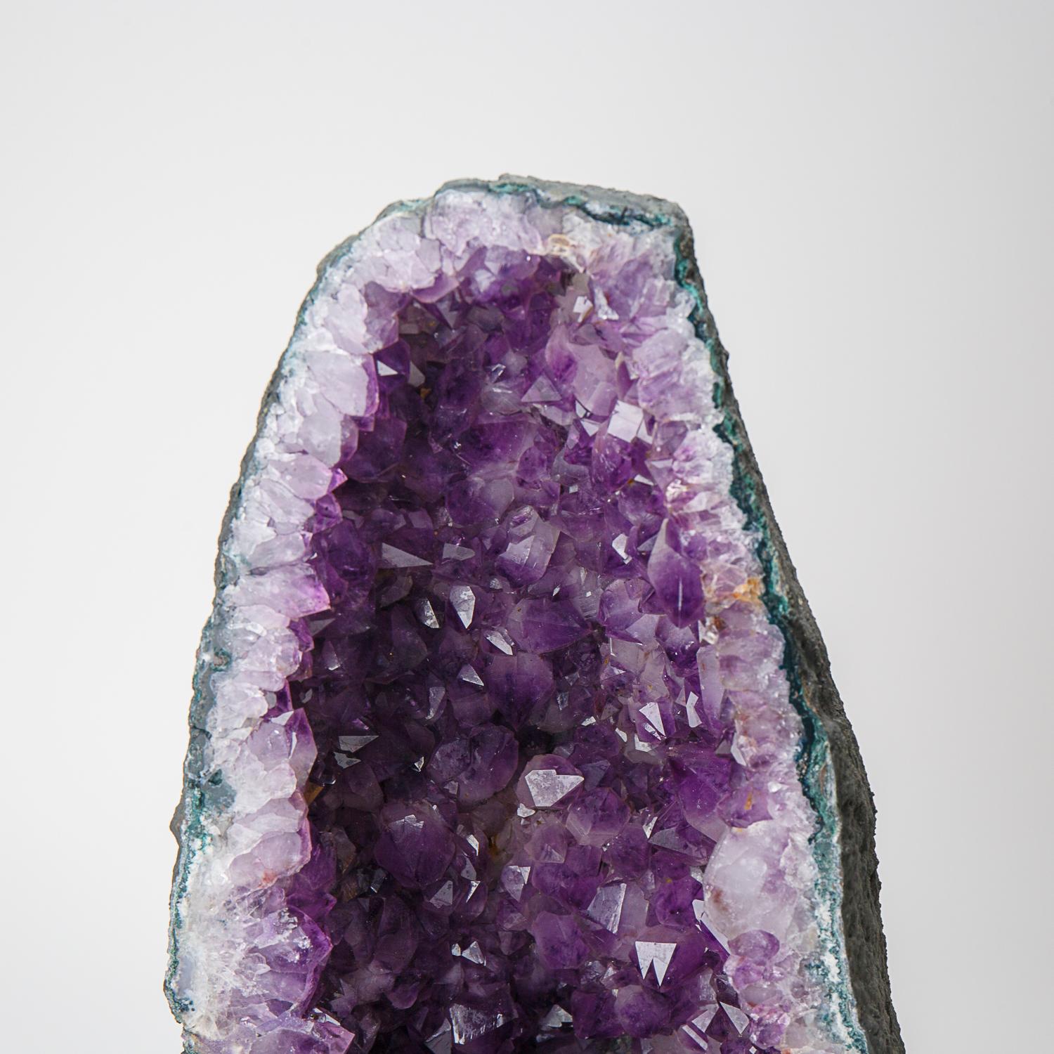 Contemporary Genuine Amethyst Cluster Geode from Brazil (49 lbs) For Sale