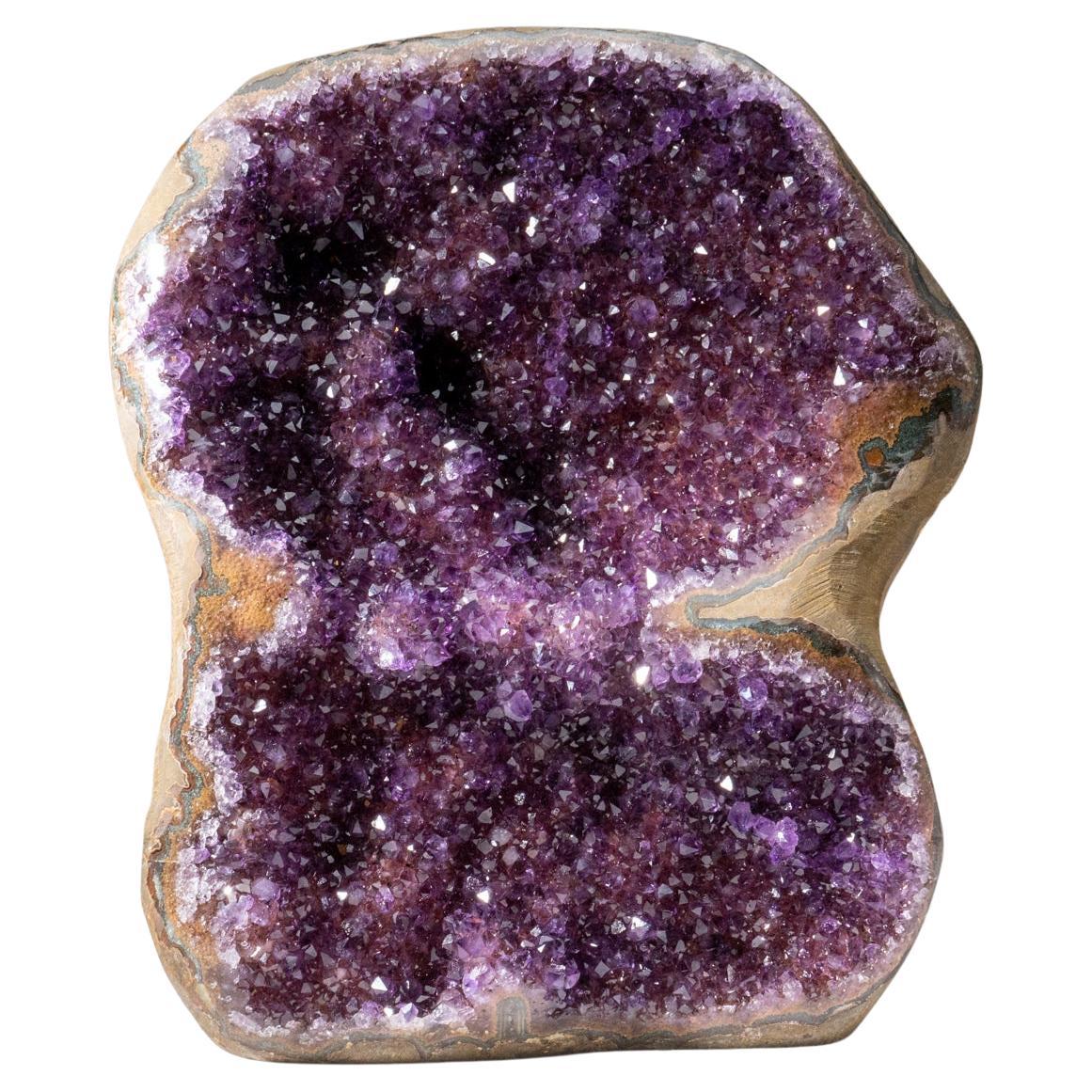 Echter Amethyst-Cluster-Geode aus Uruguay (12.5 lbs)