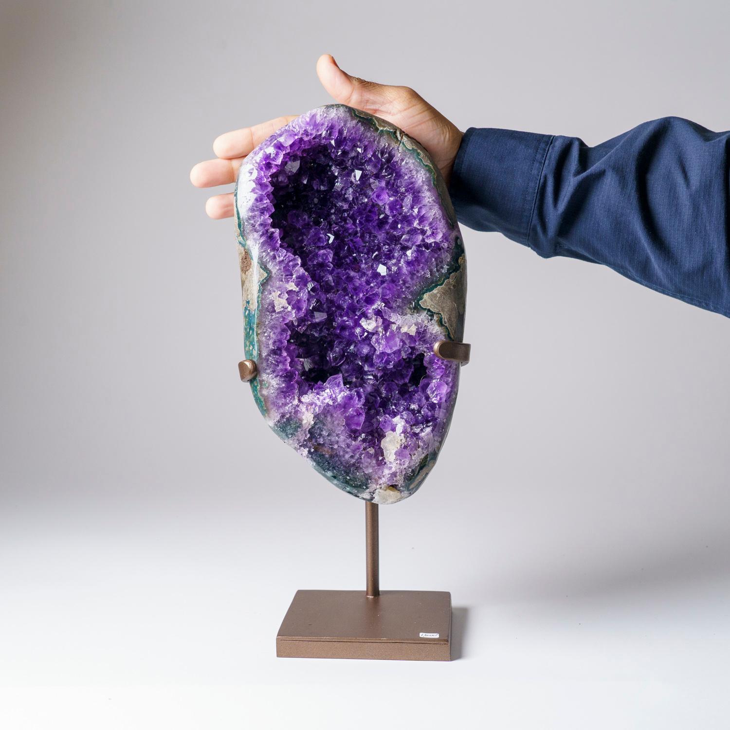 Questo cluster di quarzo ametista di qualità museale presenta cristalli naturali, lucenti e completamente terminati, con facce altamente riflettenti e tonalità profonde, da trasparenti a traslucide. Questo bellissimo esemplare è dotato di un