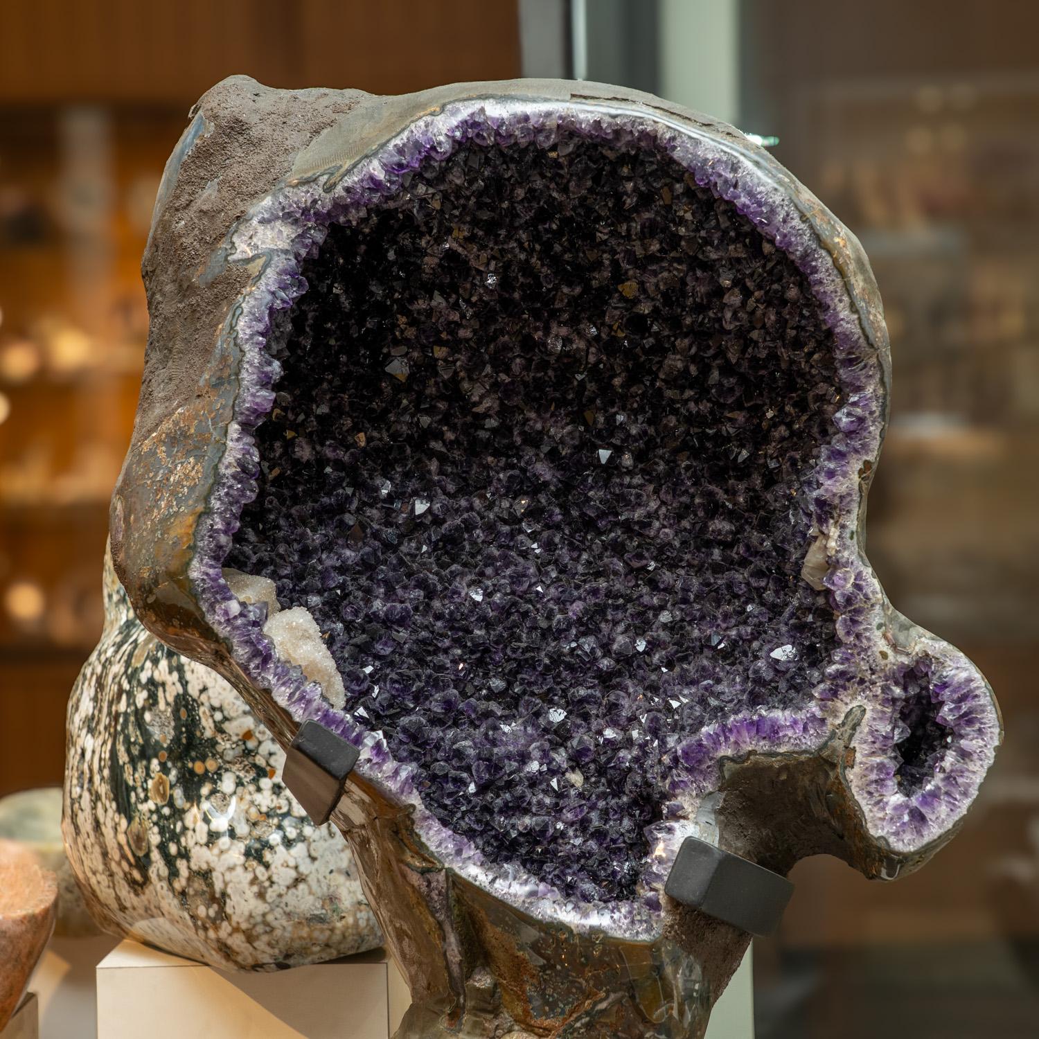 Geode a grappolo di cristallo di ametista autentico su supporto dal Brasile (153 libbre) In condizioni Nuovo in vendita a New York, NY