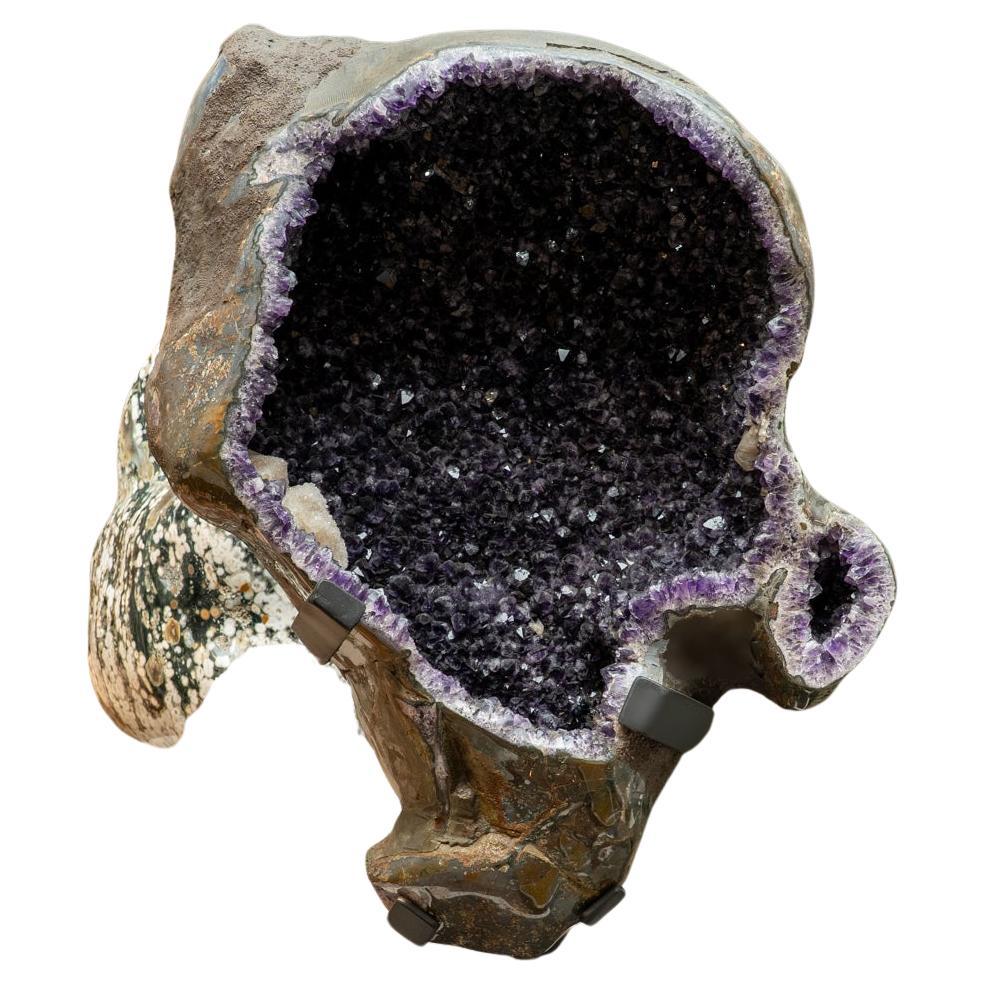 Geoda de racimo de cristal de amatista auténtica sobre soporte procedente de Brasil (153 libras)