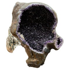 Geoda de racimo de cristal de amatista auténtica sobre soporte procedente de Brasil (153 libras)