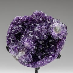 Genuine Amethyst Crystal Cluster on Stand from Brazil (3.5 lbs)