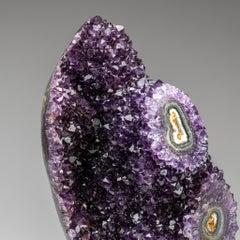 Genuine Amethyst Crystal Cluster on Stand from Brazil (6 lbs)