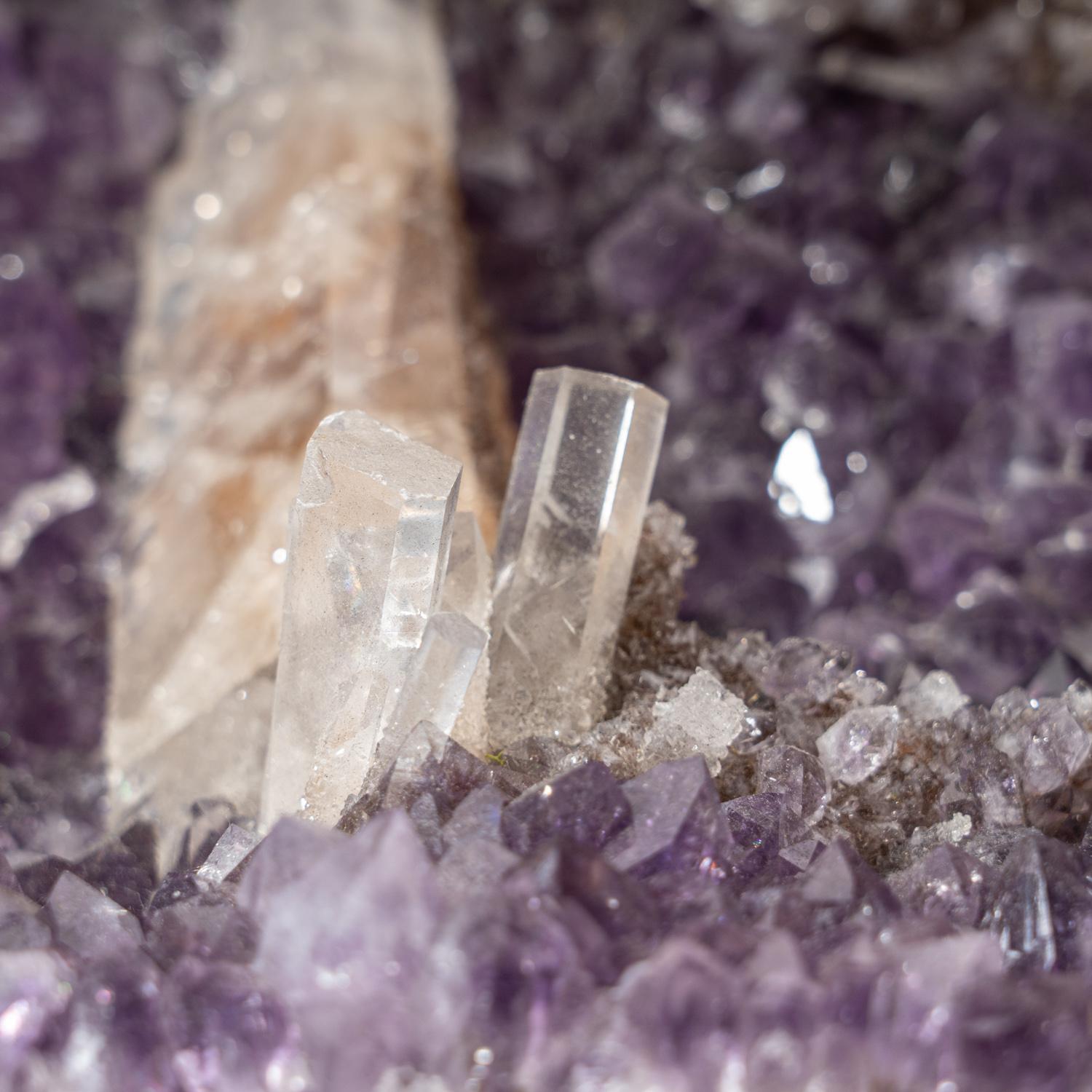 Questo cluster di quarzo ametista di qualità museale AAA presenta cristalli naturali, lucidi e completamente terminati con facce altamente riflettenti e una tonalità profonda, da trasparente a traslucida. Questo bellissimo esemplare realizzato a