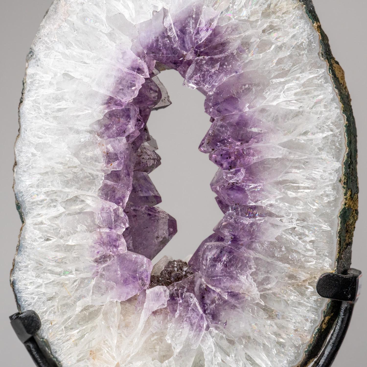 Echte Amethyst-Geodenscheibe auf Ständer aus Uruguay (7.5 lbs) (Uruguayisch) im Angebot