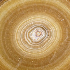 Genuine Aragonite Stalactite Slice from Mexico '311.6 grams'