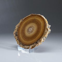 Fetta di stalattite aragonitica autentica dal Messico (375,5 grammi)