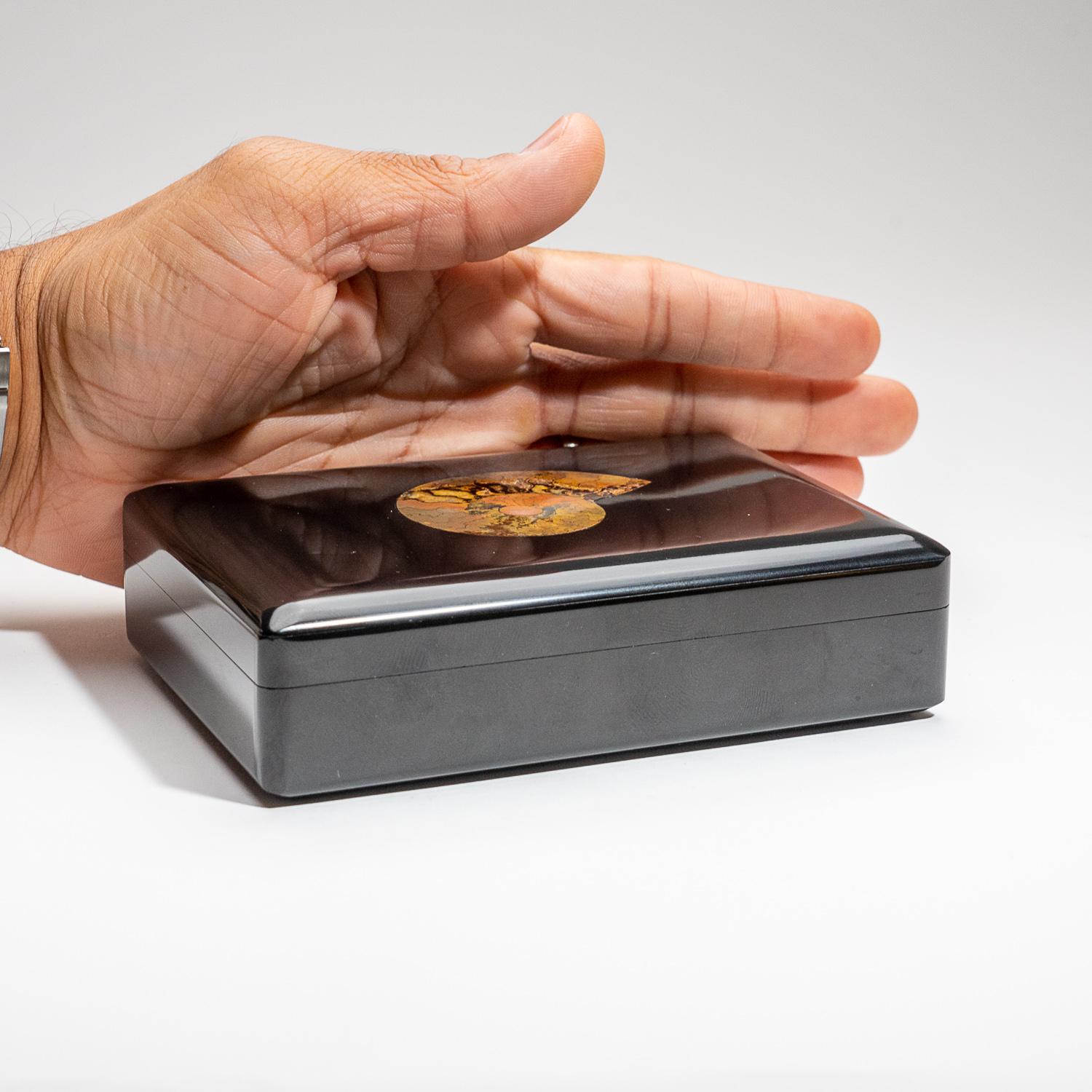 Genuine Black Onyx with Ammonite Jewelry Box '1.5 Lbs' For Sale 1