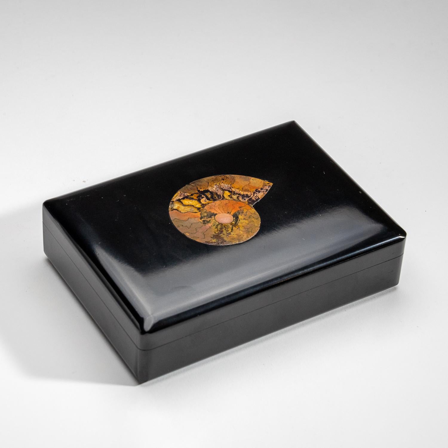 Genuine Black Onyx with Ammonite Jewelry Box '1.5 Lbs' 2