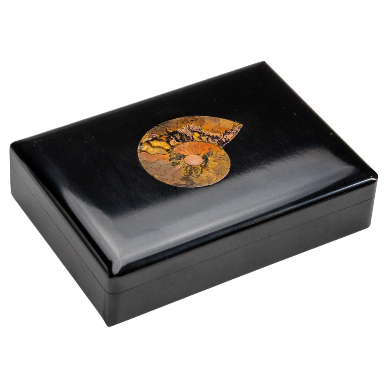 Genuine Black Onyx with Ammonite Jewelry Box '1.5 Lbs'