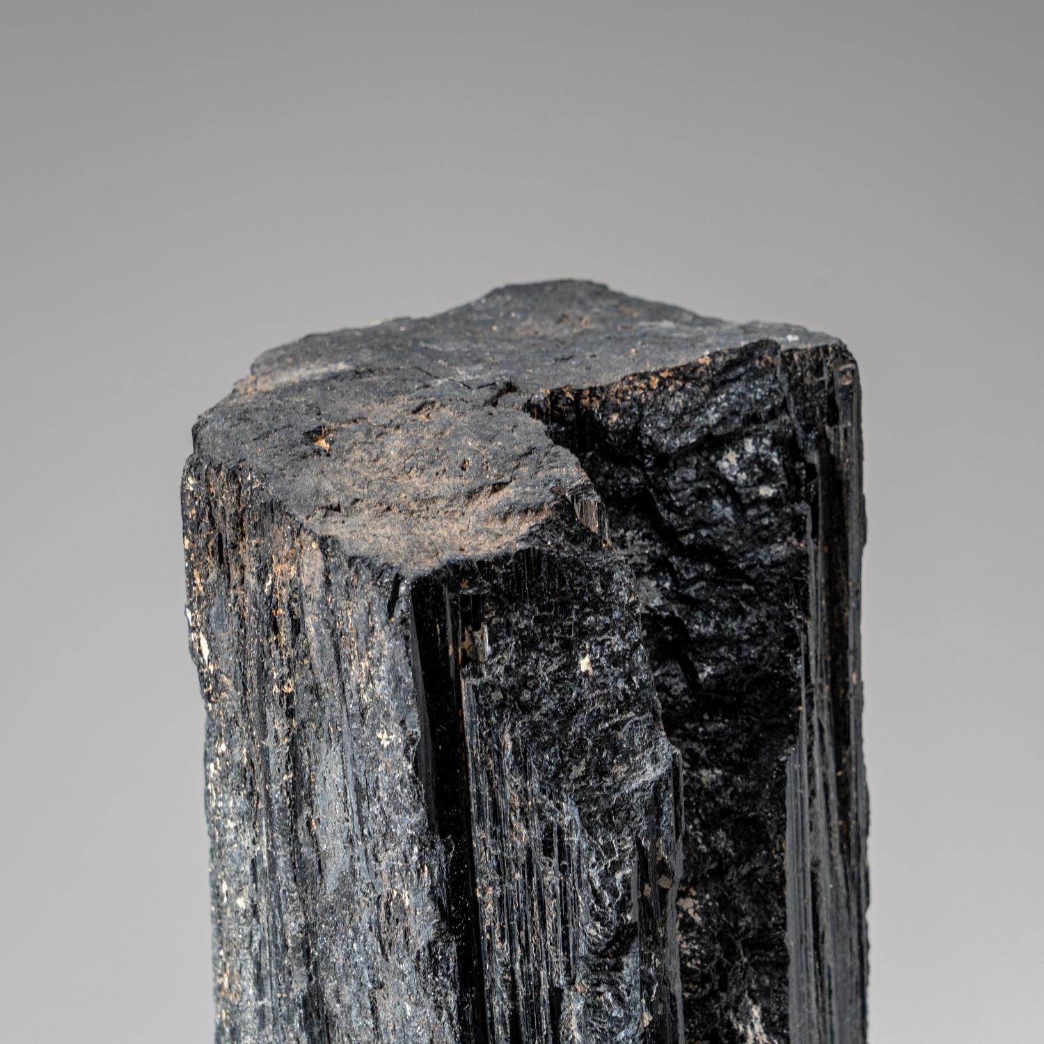 AAA quality raw black tourmaline crystal from India. This Specimen deeply striated, with a high-wet luster.

Under Black Tourmaline's protection, not even the worst downer can burst your bubble. Known as one of the premier crystals for protection,